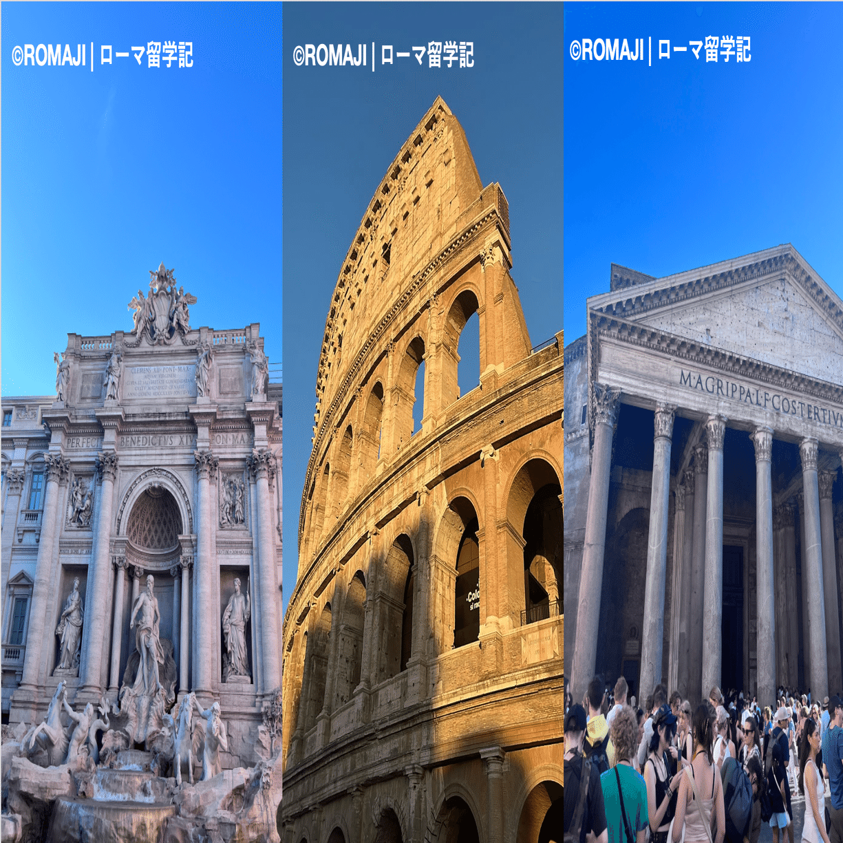 ローマの美術館に通い放題になる「MICカード」が最強すぎる件｜Ninja