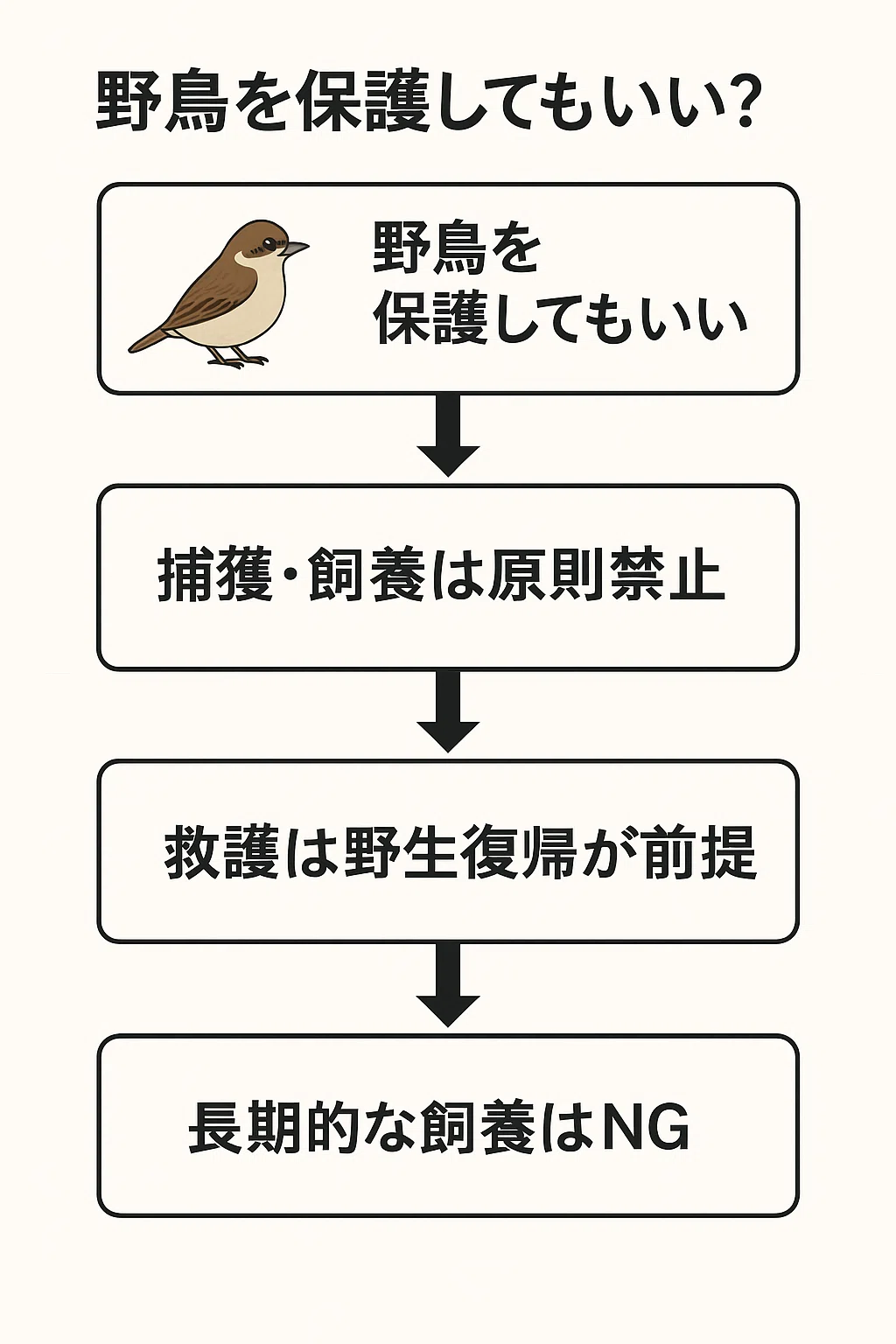 怪我した野鳥を助けると違法？鳥獣保護法と市民救護のジレンマ｜zap 