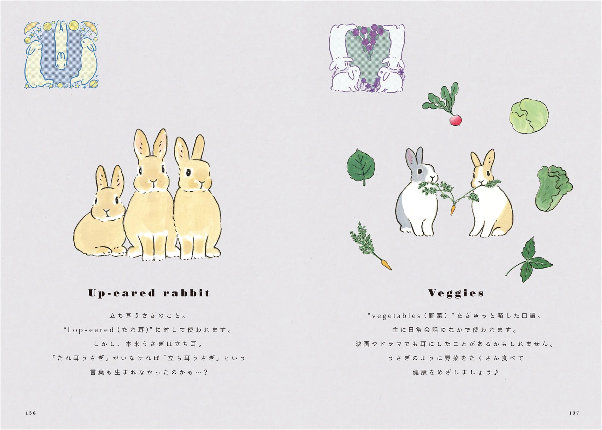 世界中の「うさぎ」にまつわる文化を詰め込んだかわいい博物事典