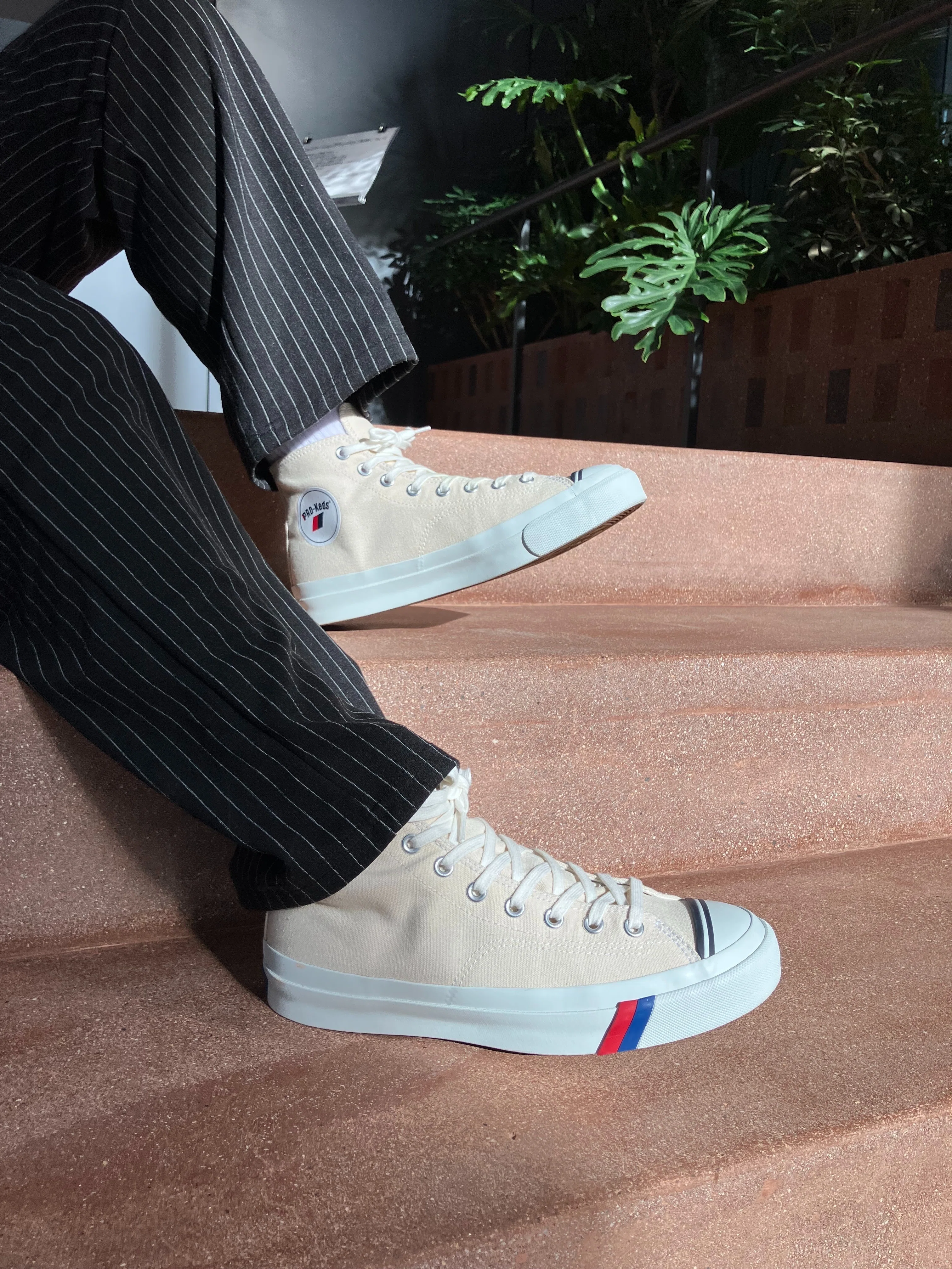 PRO-Kedsを象徴する「ネイビーレッドアイコン」とは｜さっさん