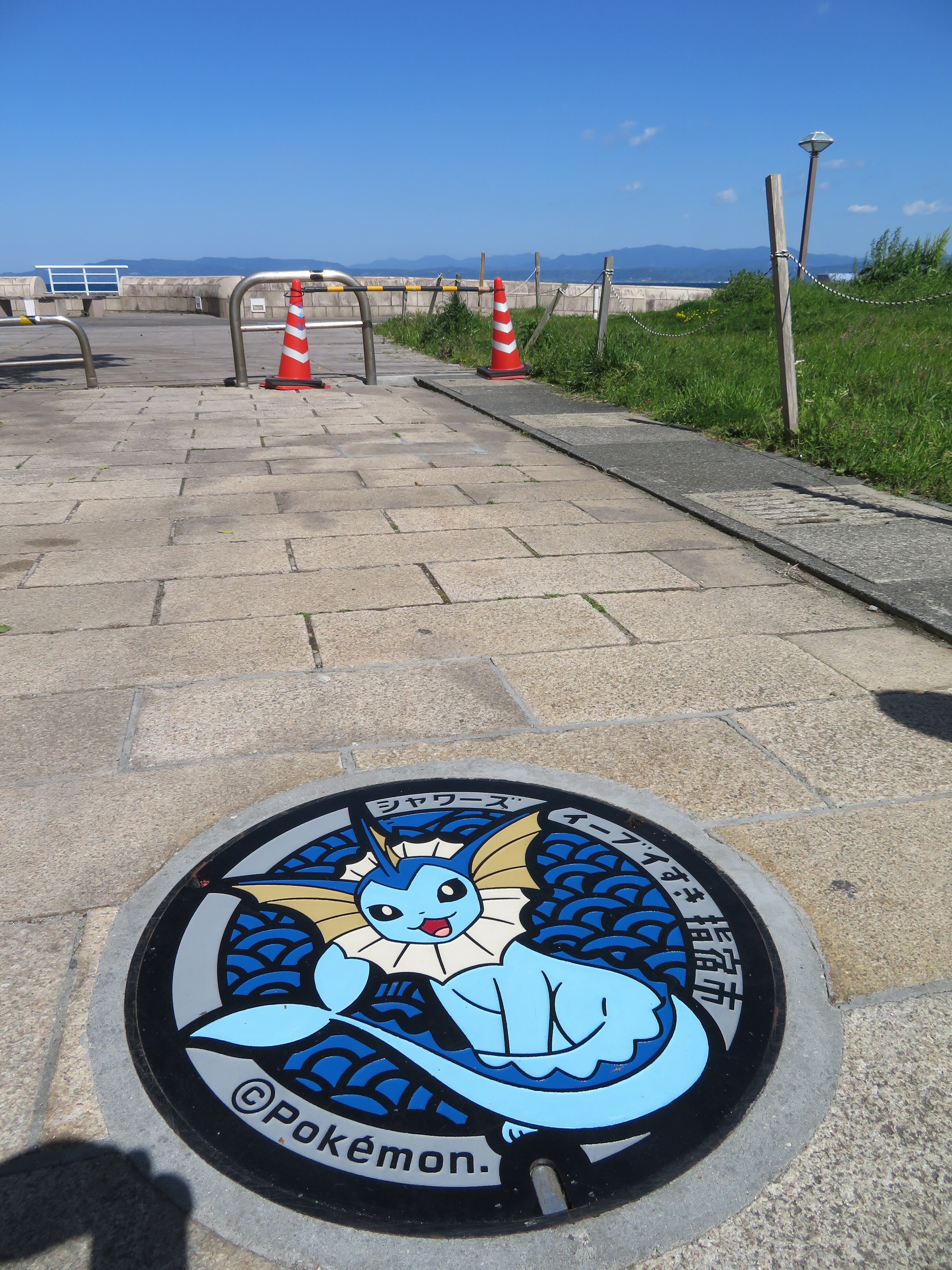 イーブイから始まった 私のポケふた旅｜つるまる@つるこ