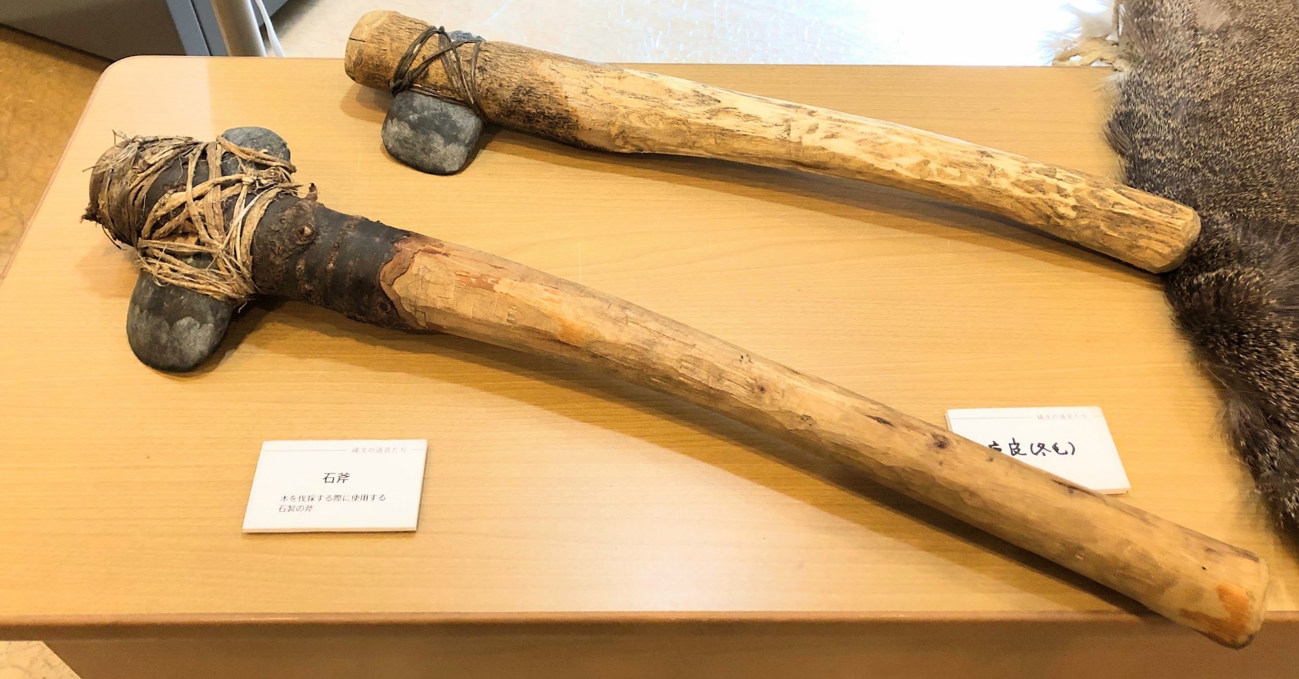 本物の石斧は、唆るぜ！ 尖石縄文考古館｜ういうい