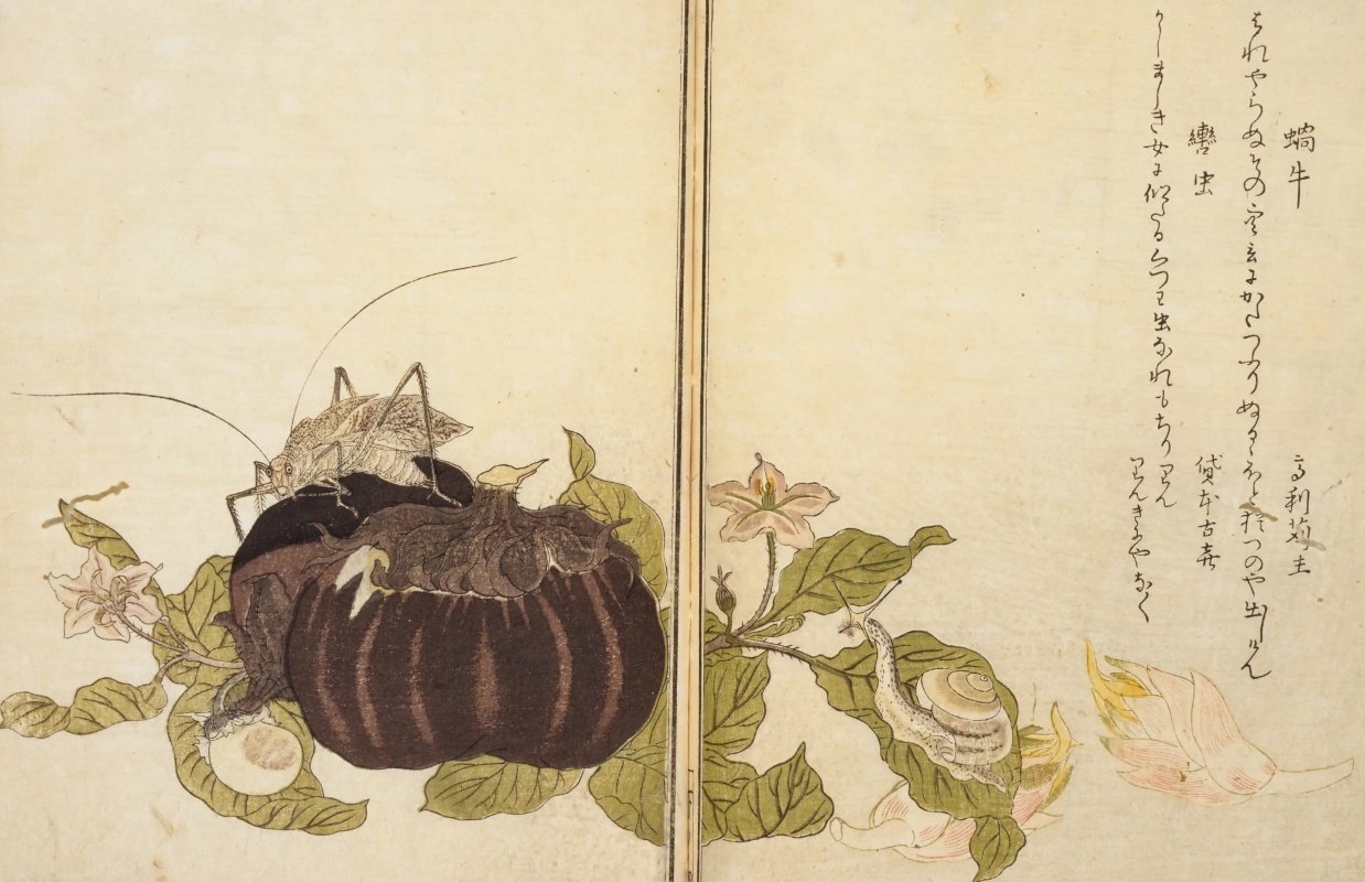 大河べらぼうで話題！歌麿の自然美の極致『画本虫撰』とは？｜大和愛