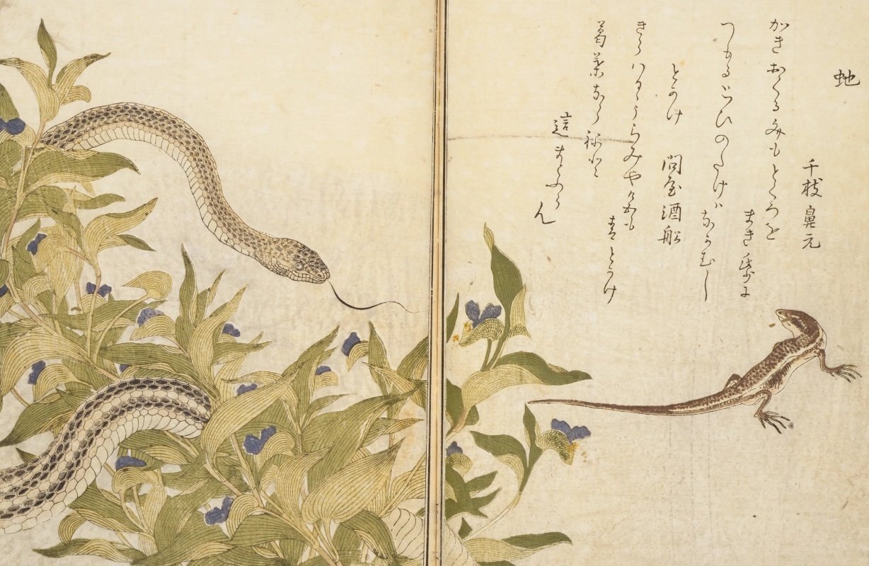 歌麿 画本虫撰 9/7 べらぼう登場 狂歌絵本 復刻 豆本 歌麿 画本虫撰 9/7 べらぼう登場 狂歌絵本 復刻 豆本 - メルカリ