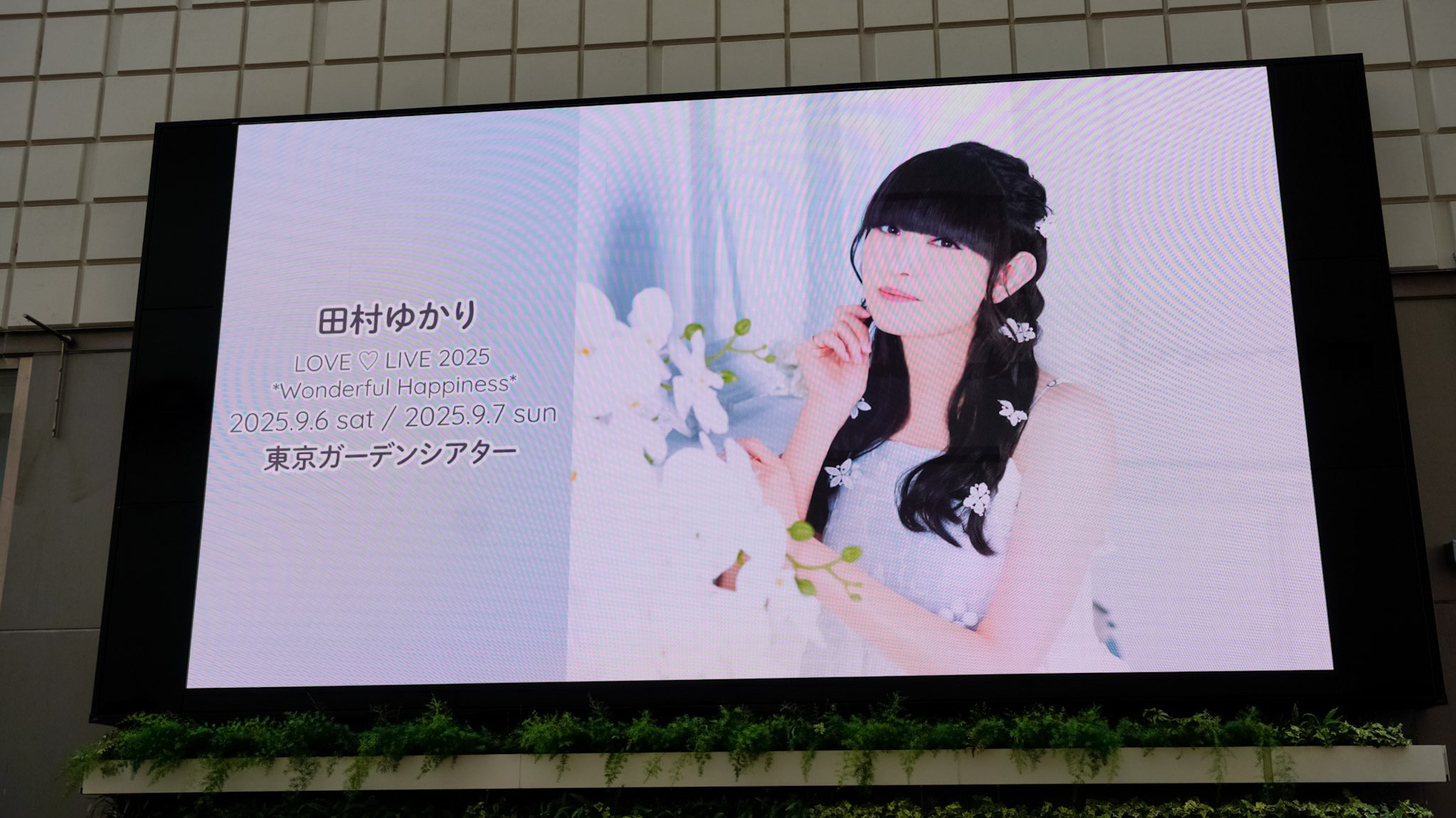 ゆかりん*Wonderful Happiness* 東京2Days公演｜hiyukiro