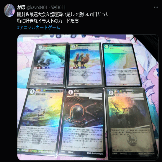 アニマルカードゲーム振り返り2 『種属戦争』環境(2025/05~09)｜かぼ