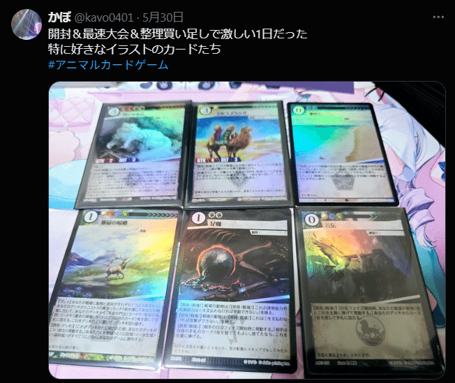 アニマルカードゲーム振り返り2 『種属戦争』環境(2025/05~09)｜かぼ