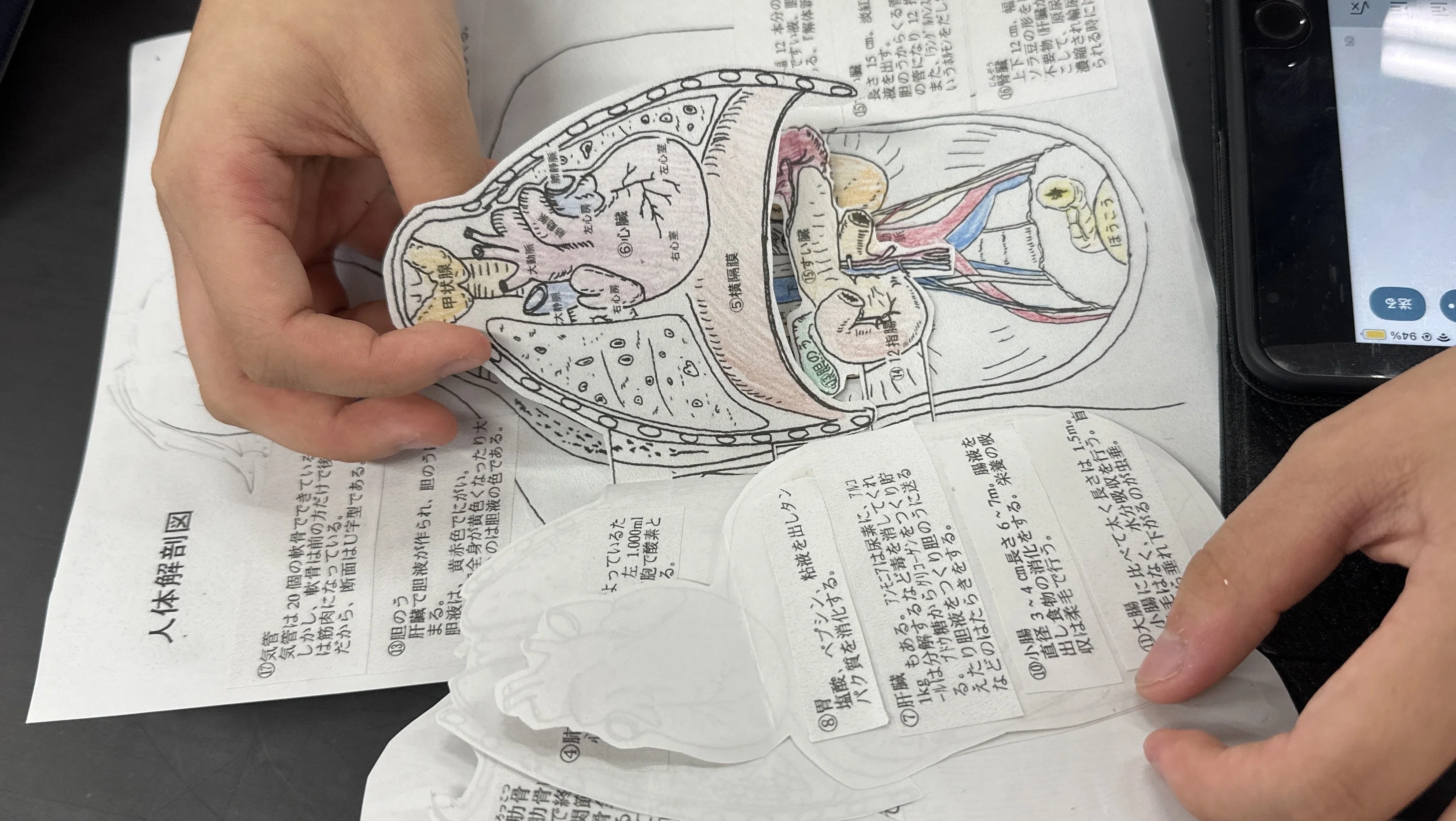 心臓のつくりとはたらき】｜矢野充博