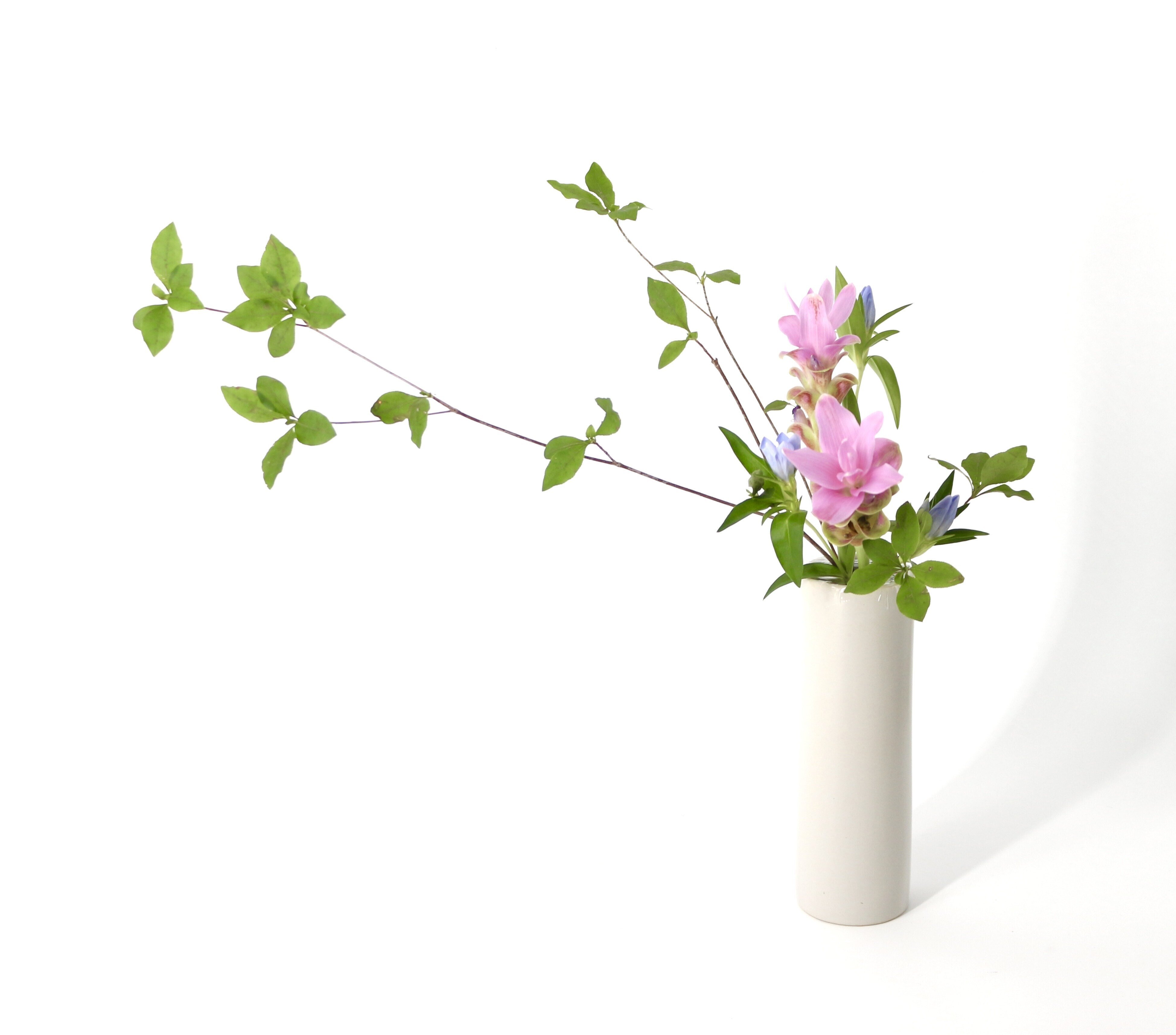 センス不要！花留めの工夫で“キレイに”花をいける方法｜shiro