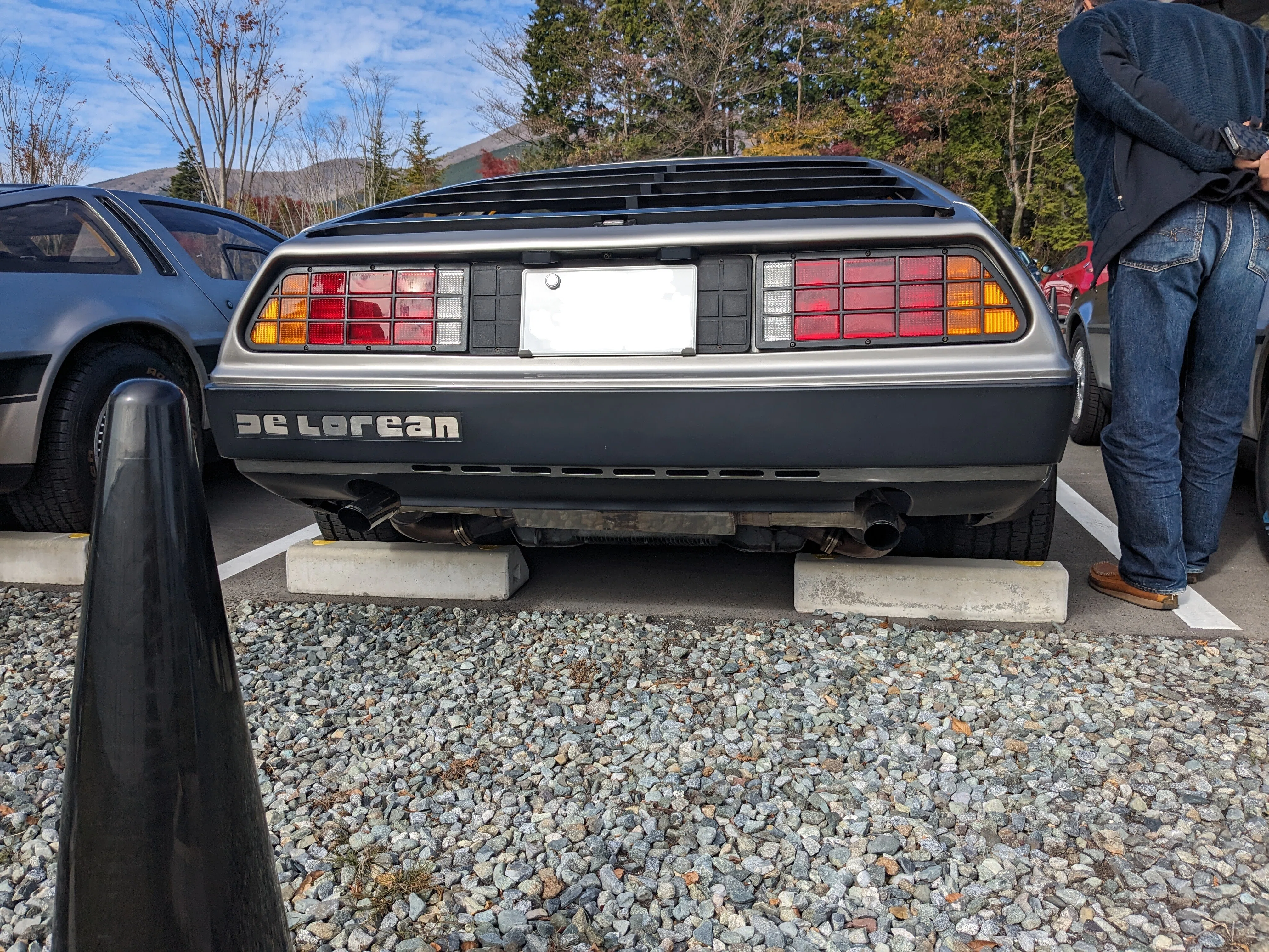 81 Delorean DMC-12のレビュー！ 夢と希望とポンコツエンジンを積んで