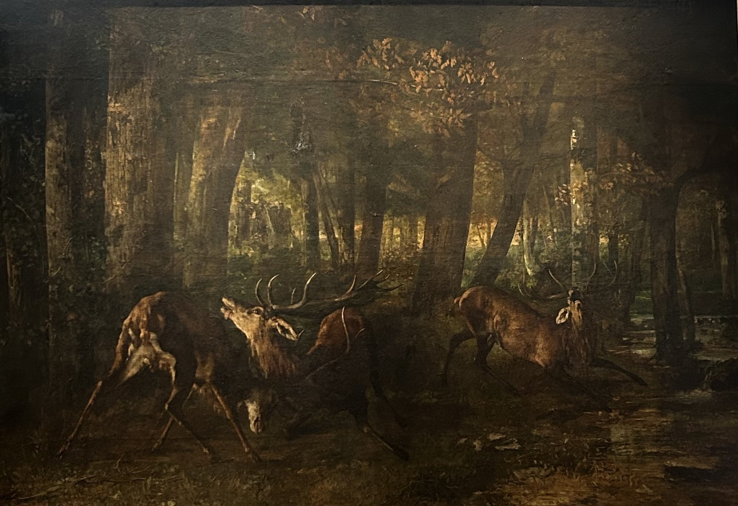 子供のためのオルセー美術館(218)黒の森で見たものは？/クールベ・1