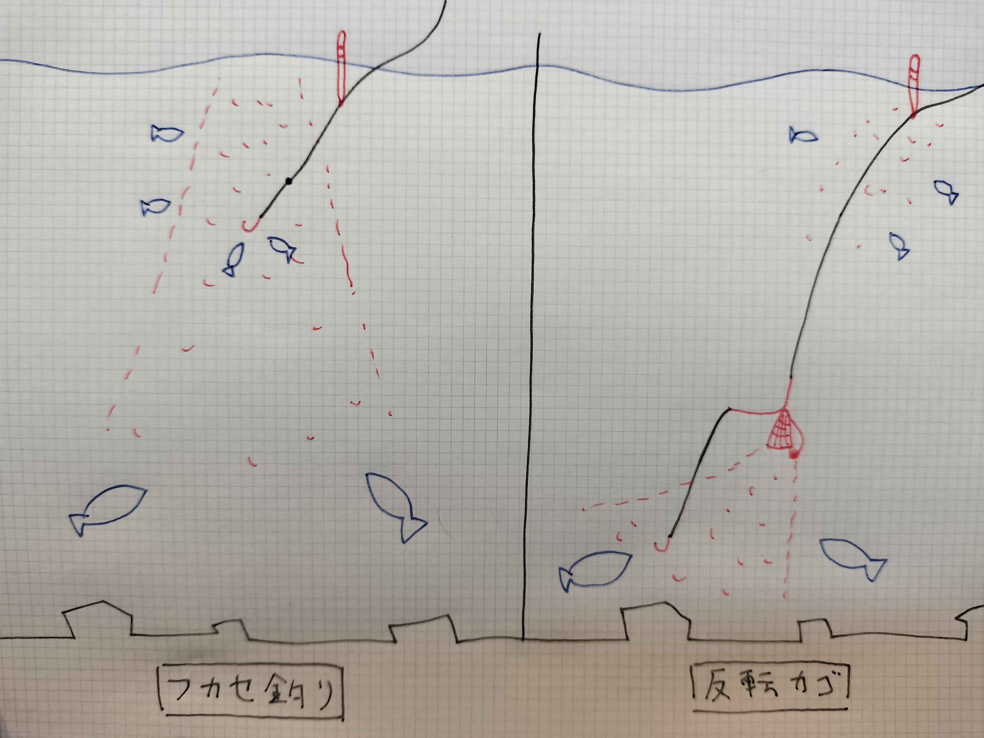 完全ガイド】反転カゴ釣りの使い方・仕掛け・自作方法をベテランが徹底