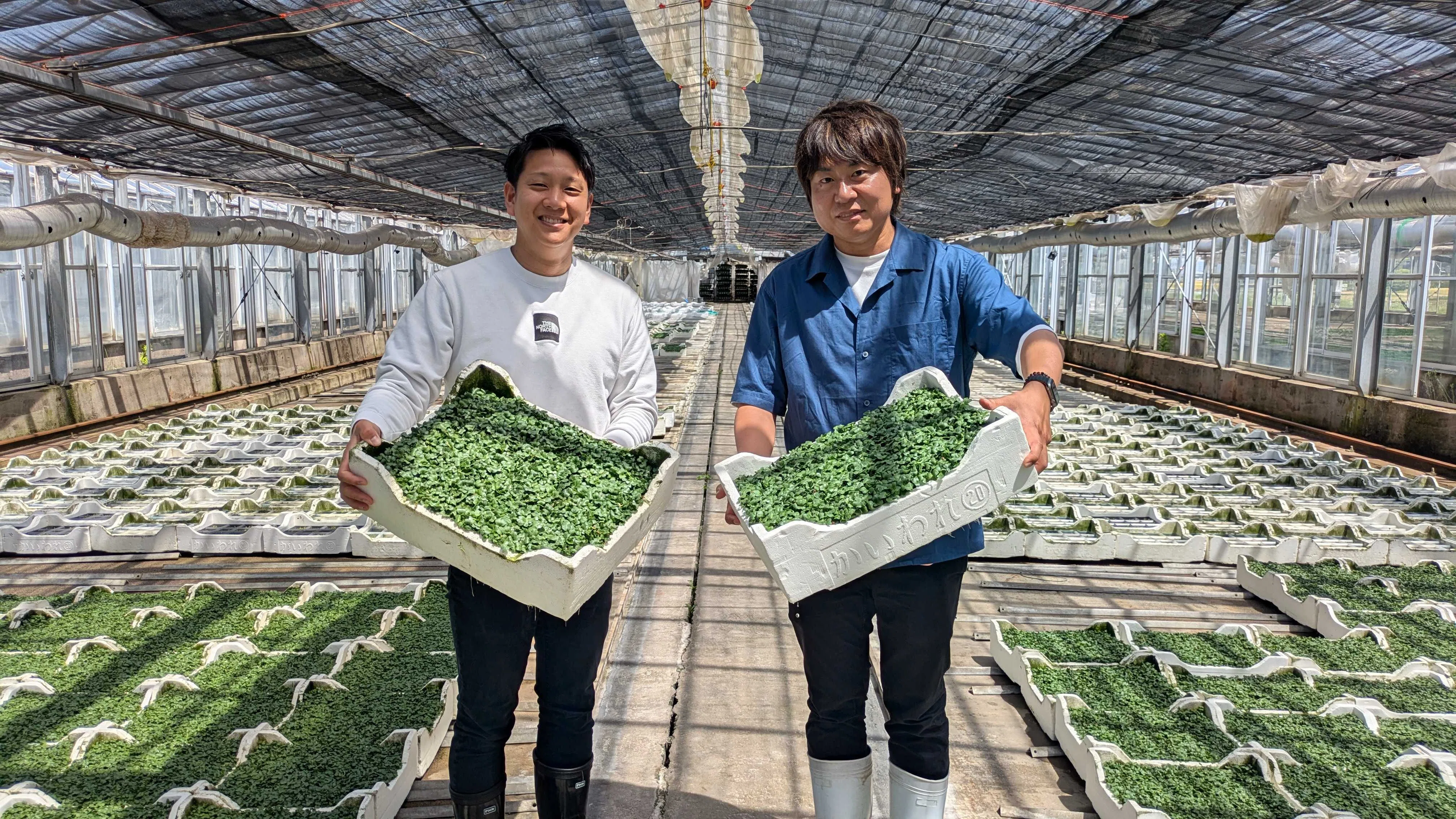 Blue富山-DAY1】射水市のスプラウト農家で学ぶ農業の課題｜Grass Family.