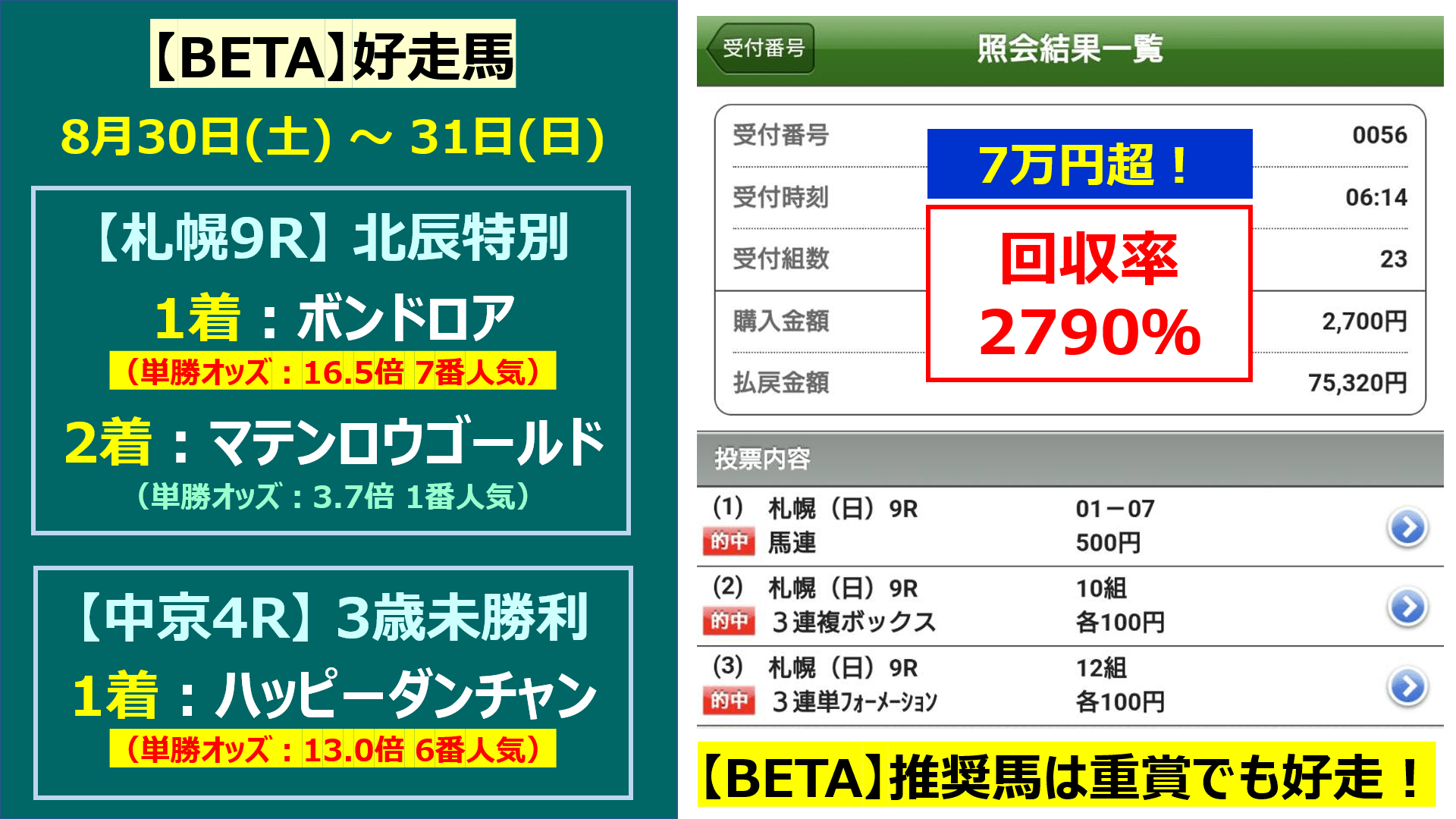 ブエナビスタ】全G I現地的中馬券セット+おまけ ブエナビスタ】全G I現地
