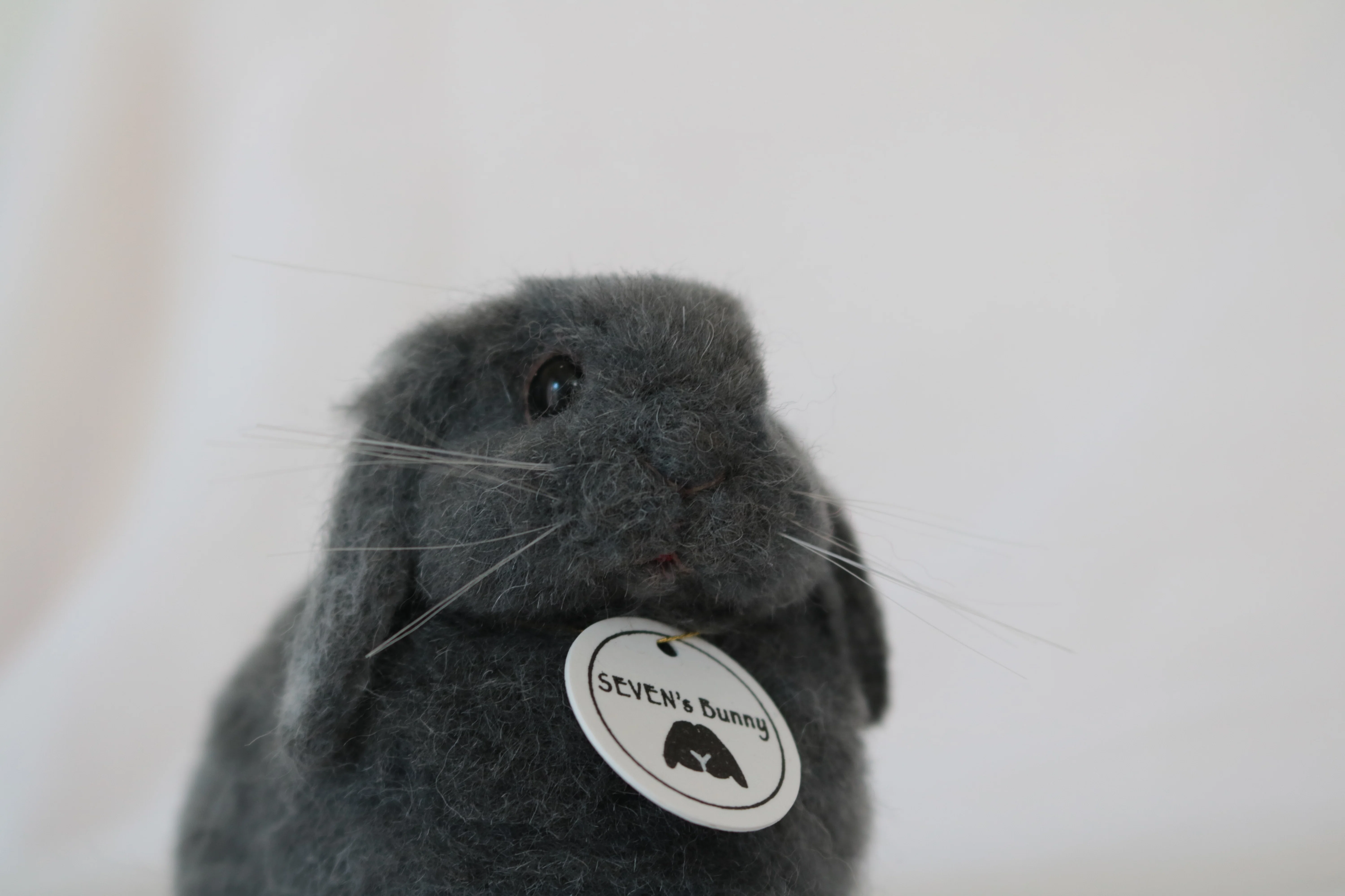 羊毛フェルト作家の自己紹介*はじめてのnote*｜SEVEN'sBunny