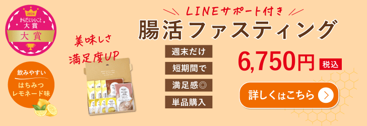 RESET ファスティング 通常BOXセット リセット ファスティング