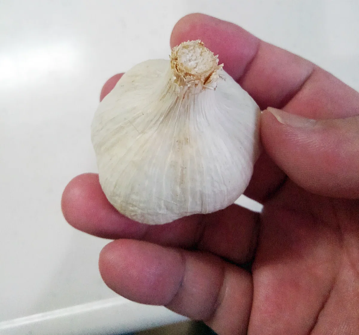 Garlic Soba [My Dried Soba Path: The 80th Bowl of Devotion]｜全日本干しそば党 党本部
