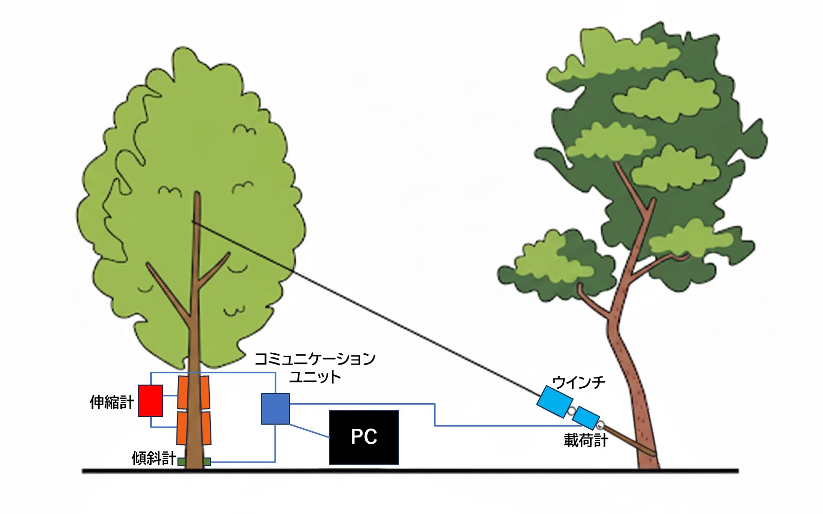 樹木のリスクマネジメント：最近注目の引張り試験（Pulling Test）とは