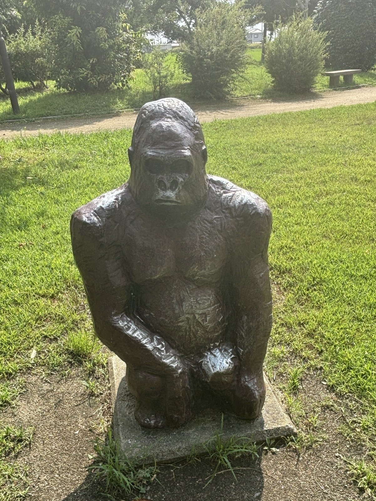 松前町（愛媛）にはゴリラが3匹❗と書くはずが😭｜＃ヒキダシ