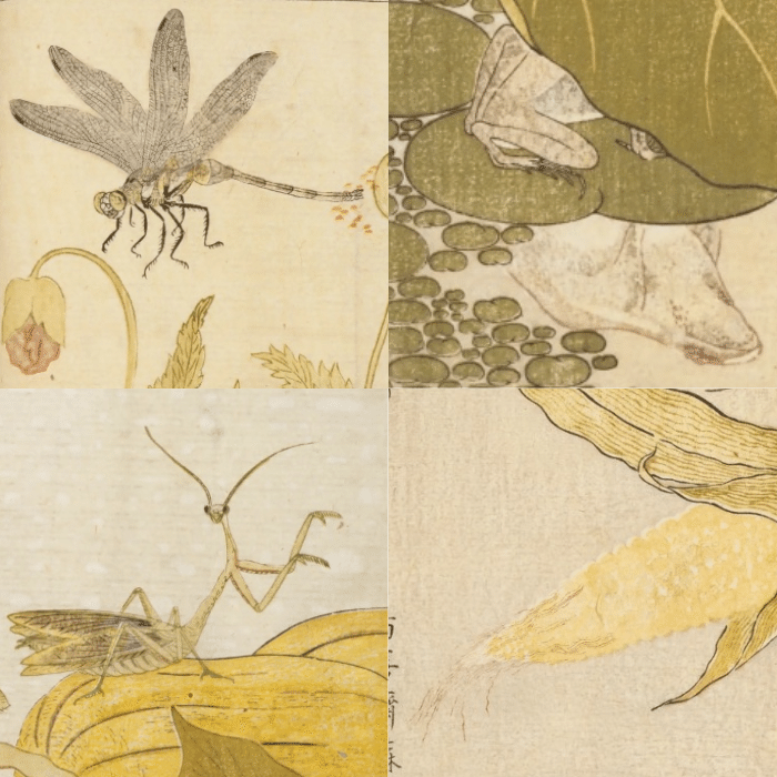 歌麿 画本虫撰 9/7 べらぼう登場 狂歌絵本 復刻 豆本 大河べらぼう】『画本虫撰』全ページ紹介！ - 大河ドラマ