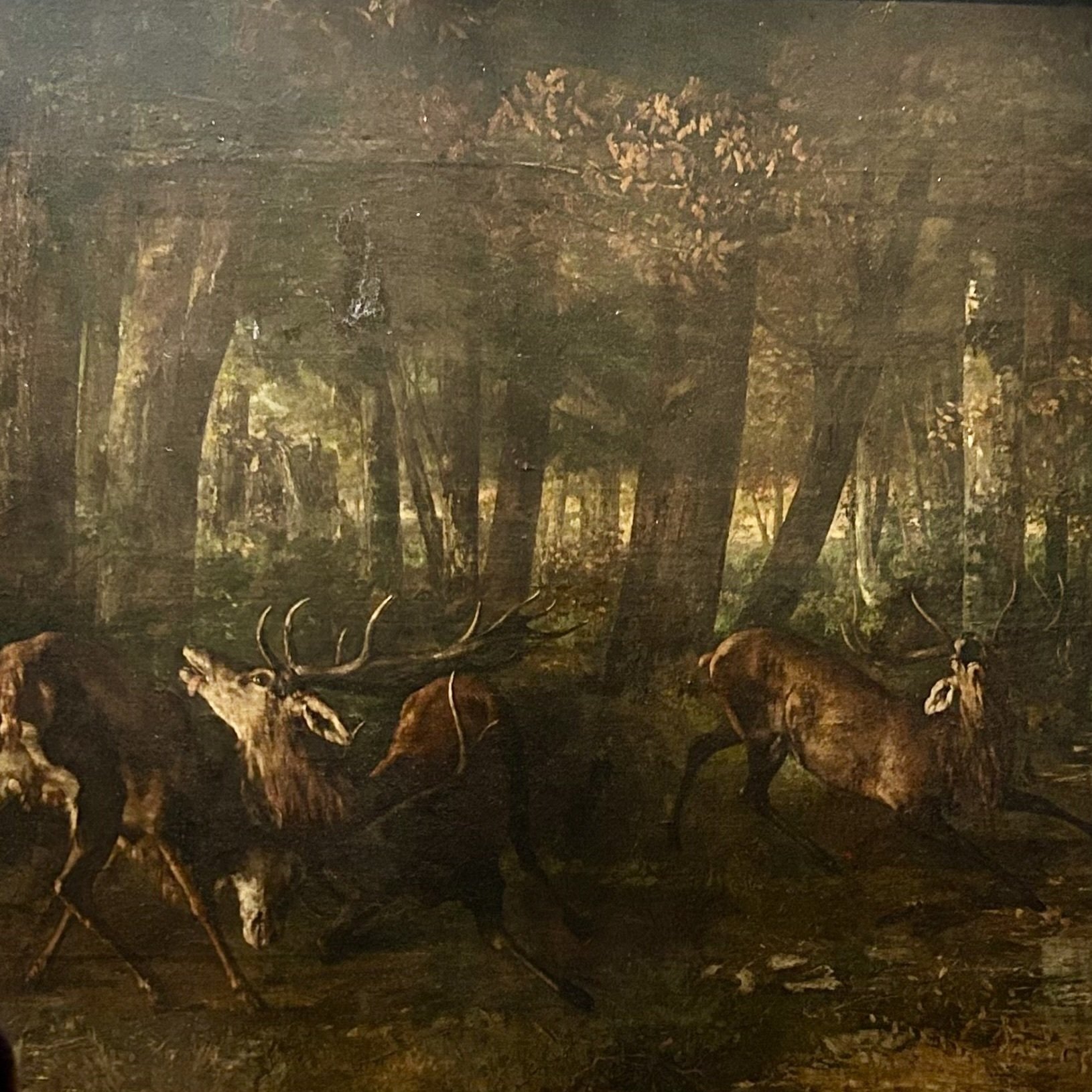 子供のためのオルセー美術館(218)黒の森で見たものは？/クールベ・1