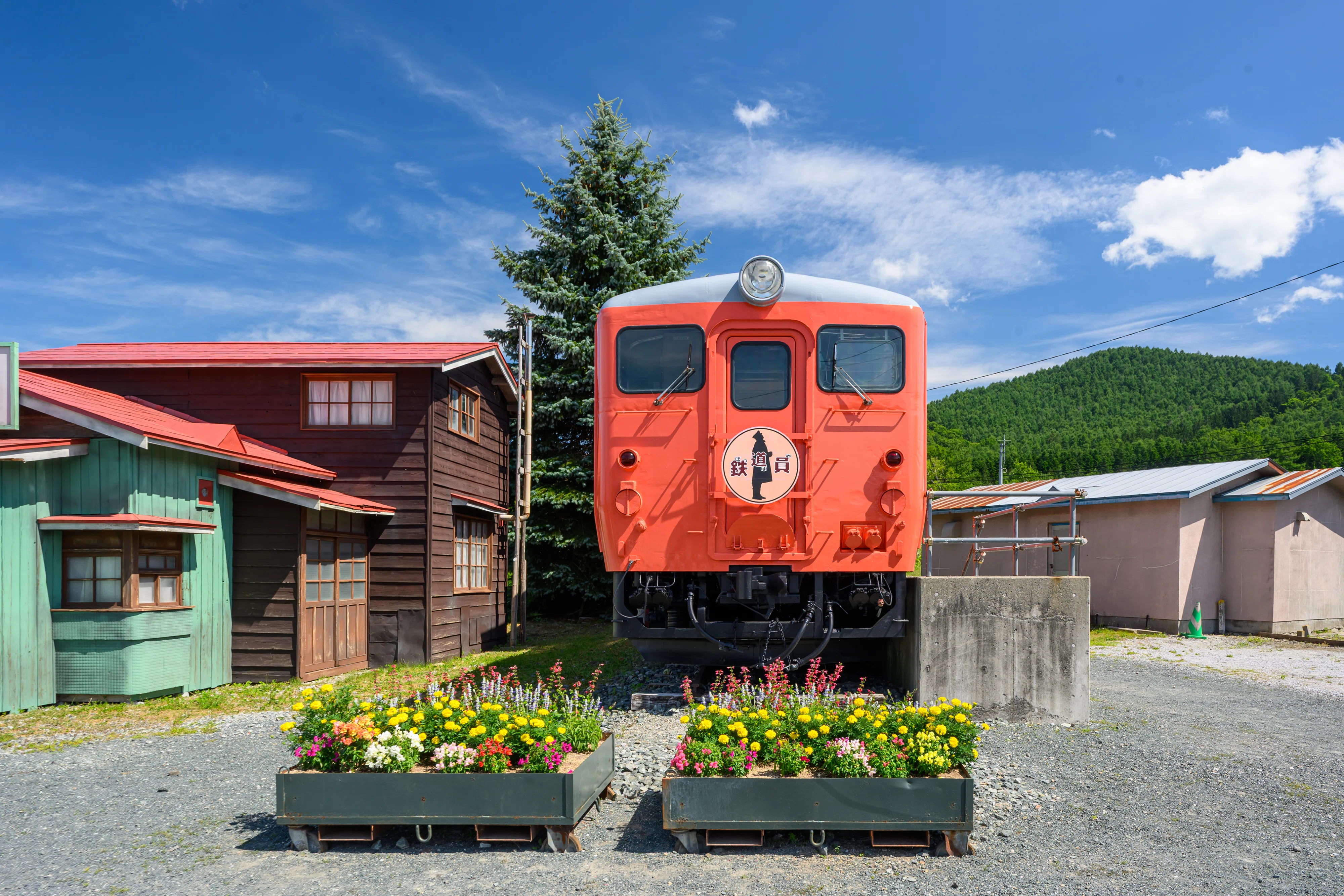 北海道・帯広の旅：幾寅駅、白樺並木、インデアンカレーで味わう