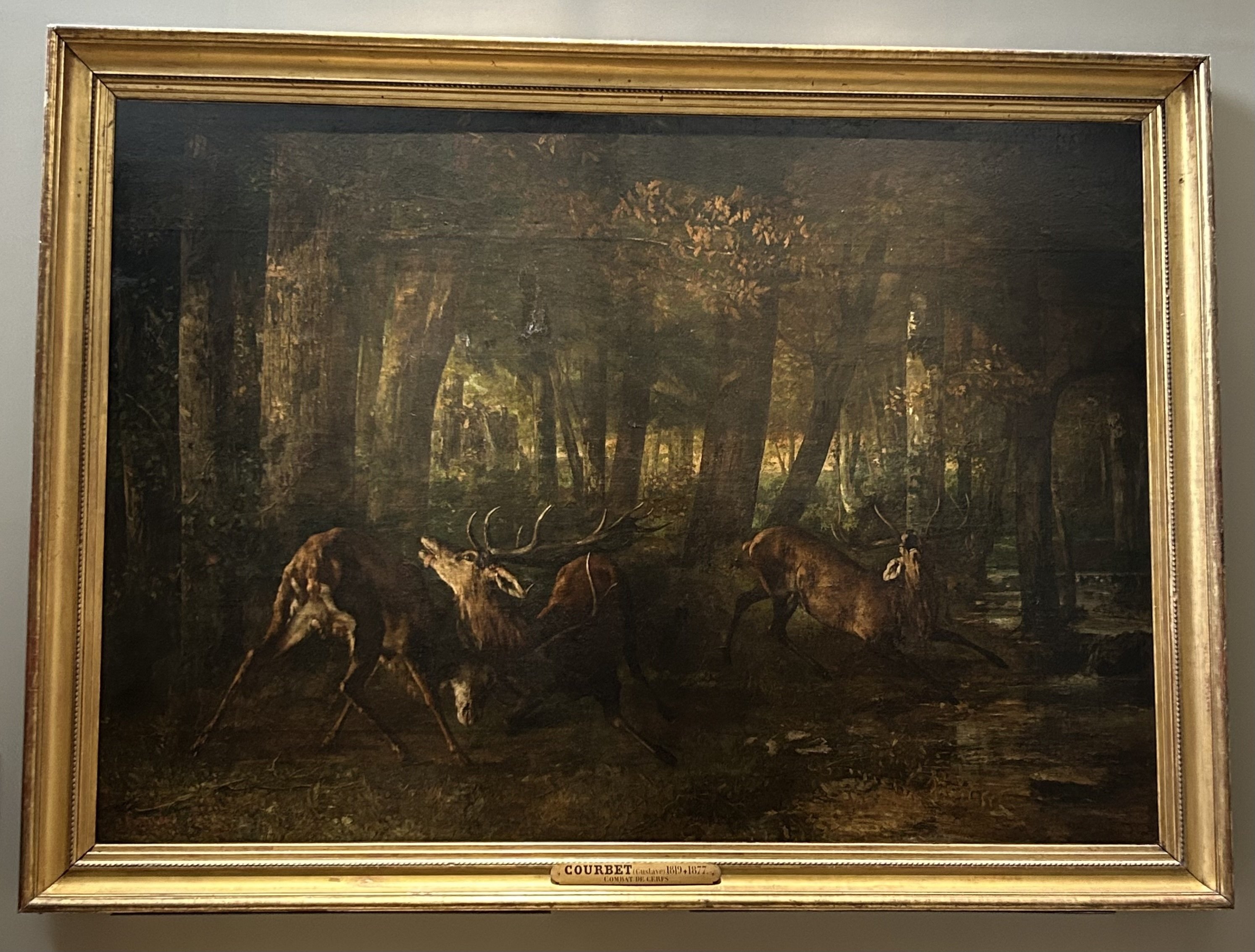 子供のためのオルセー美術館(218)黒の森で見たものは？/クールベ