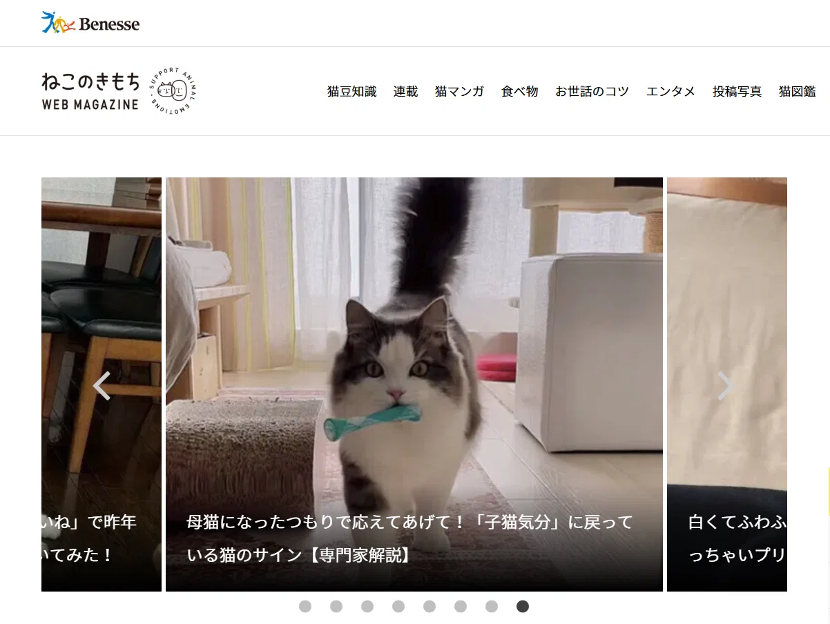 母猫になったつもりで応えてあげて！「子猫気分」に戻っている猫の