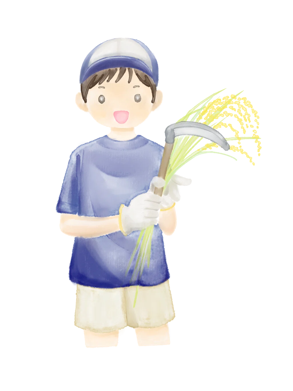 イラストみんなの農業教室 4 水稲の増収技術 送料無料 1757681903-