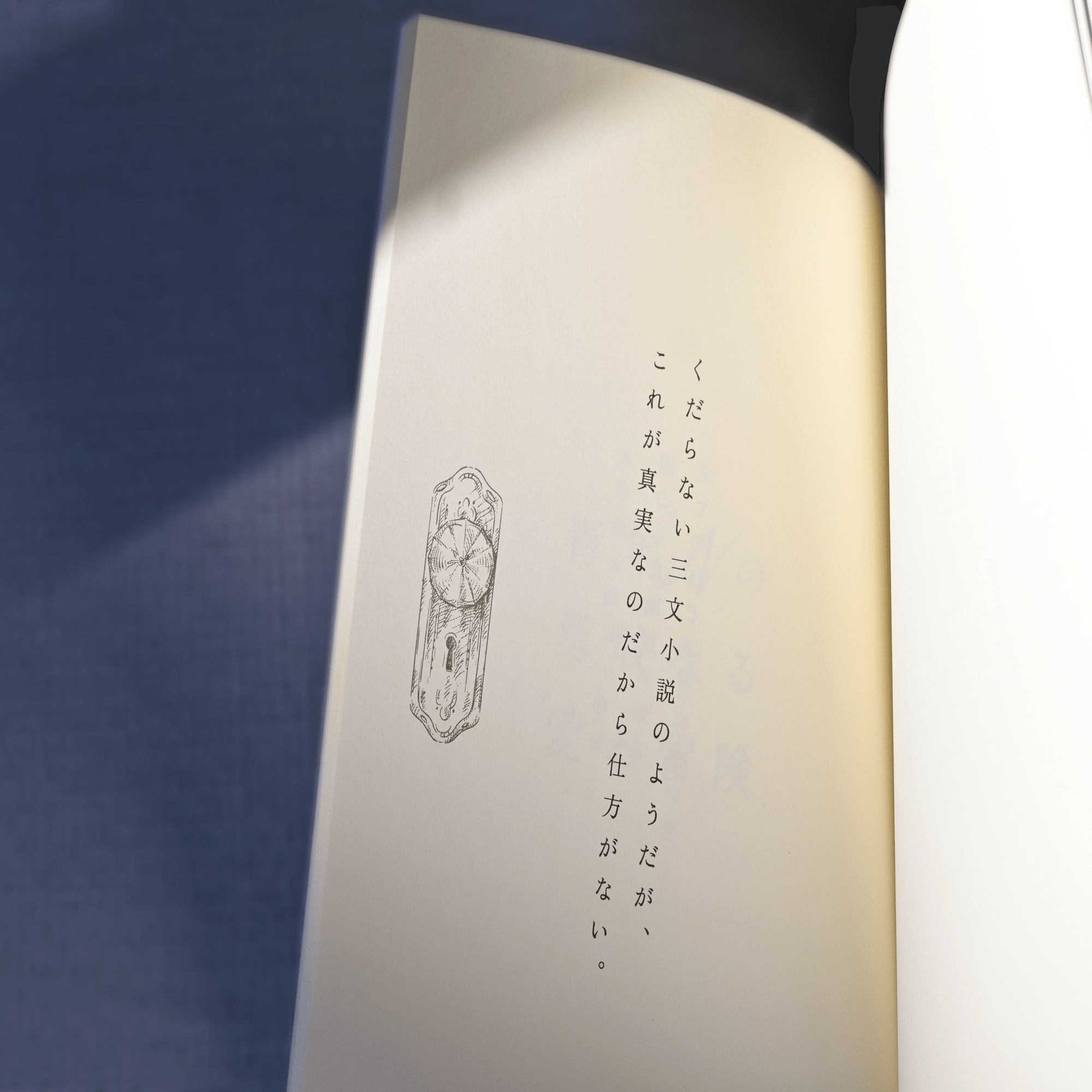 2024-2025 同人装丁まとめ/HACO presents.｜ユッコ