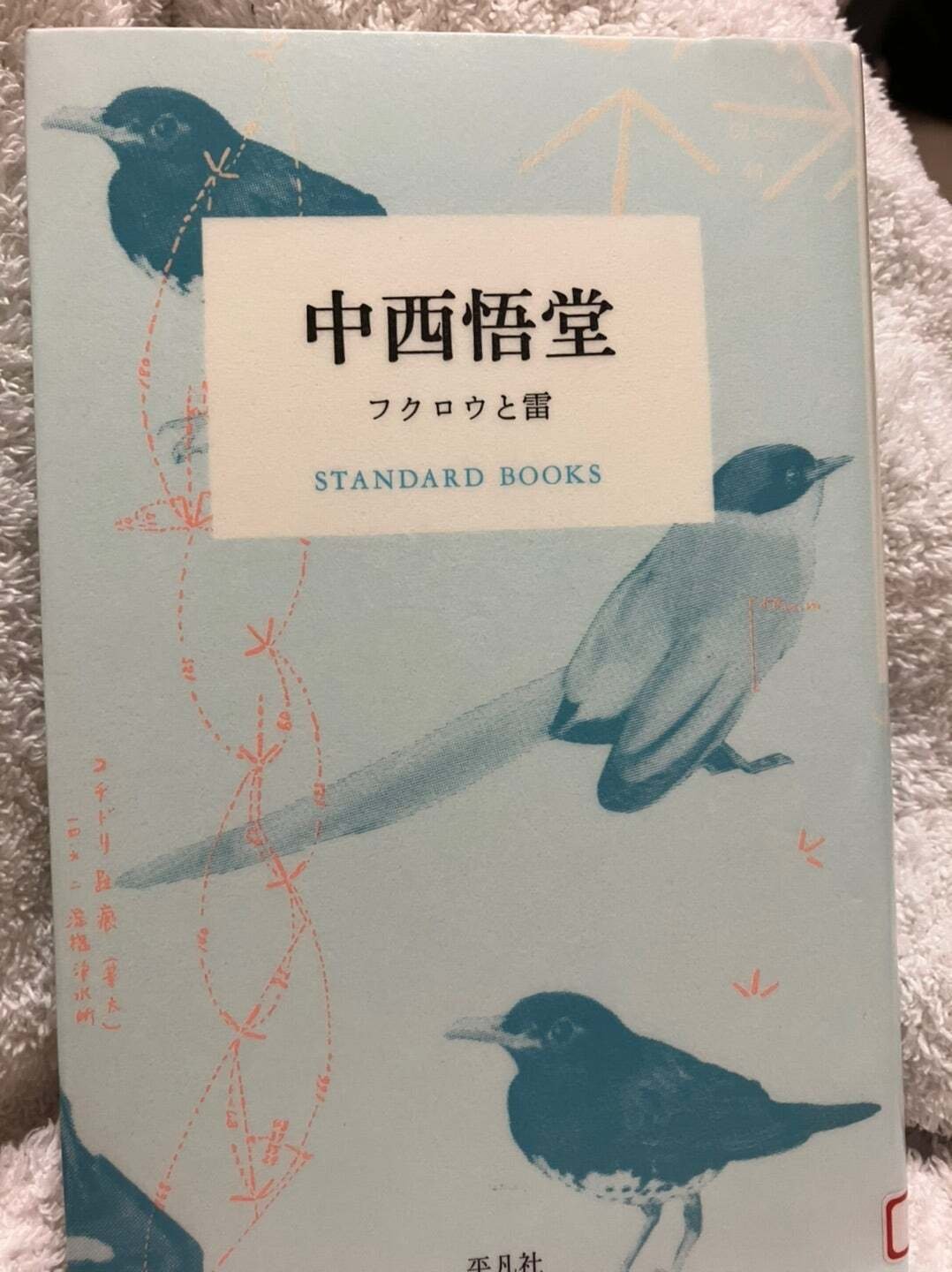 気になった人-中西悟堂、ハダカで鳥と散歩する「日本野鳥の会」創立者