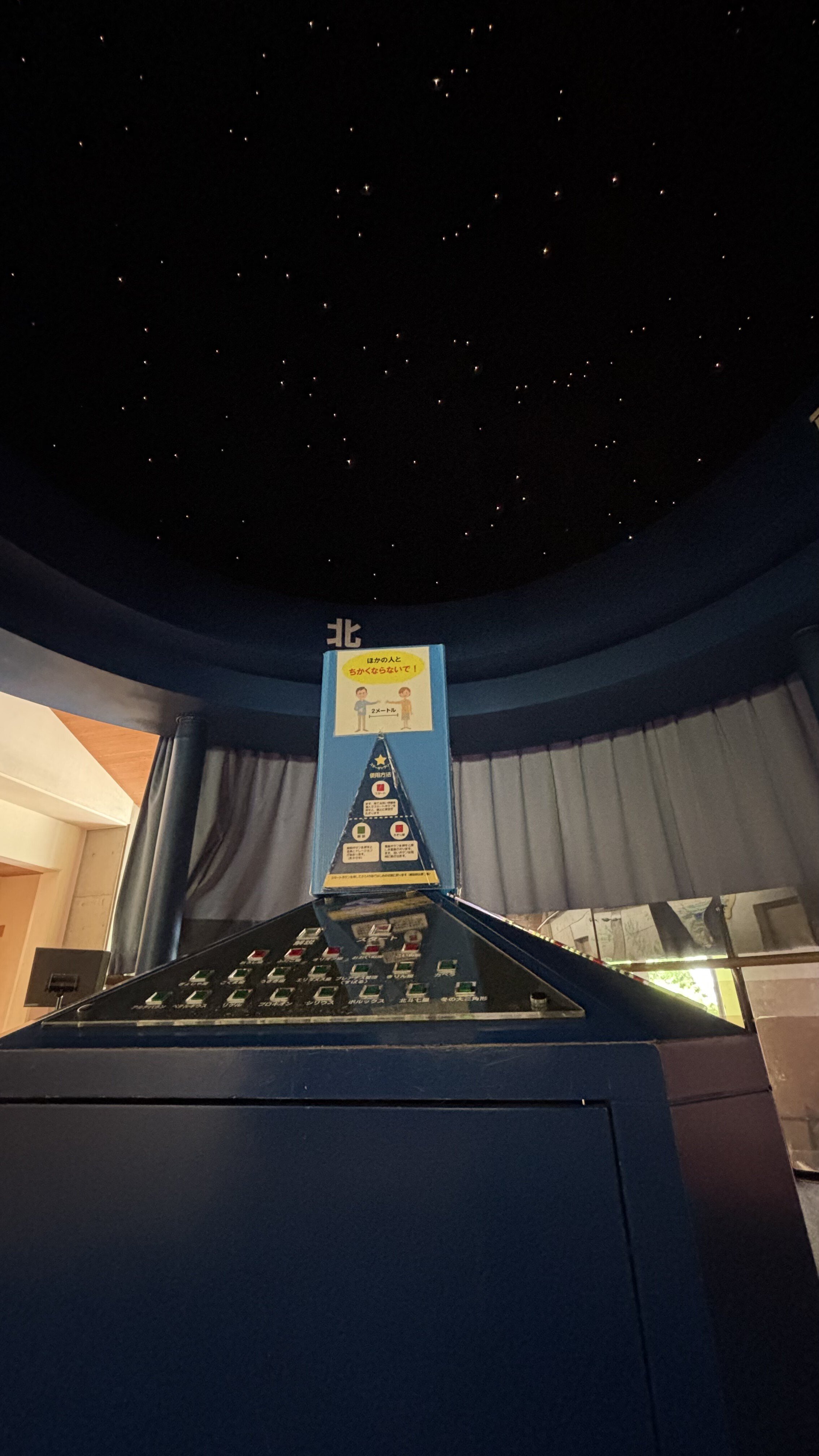 滋賀・みなくち子どもの森 自然館｜SOTOICO