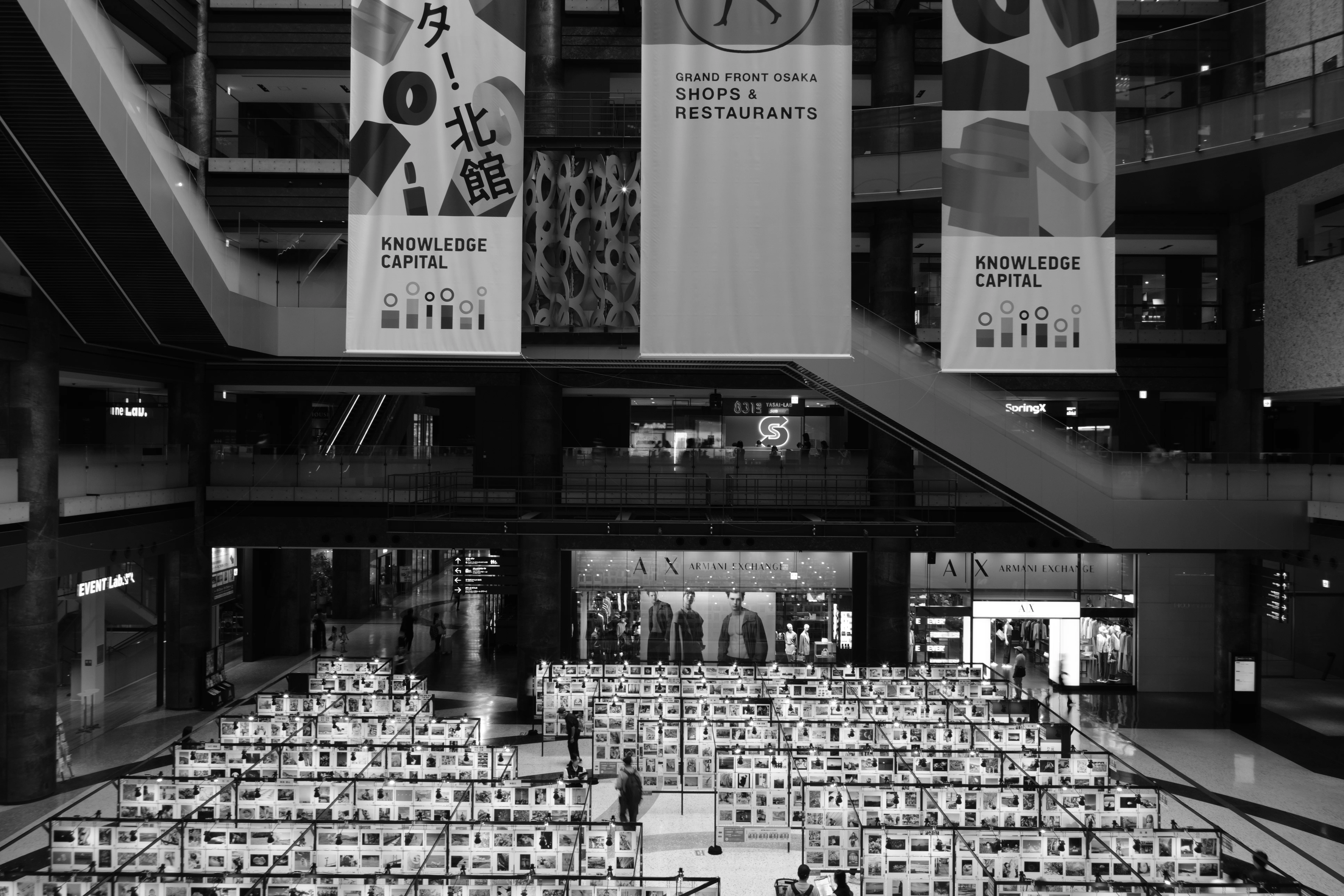 あなたが主役の写真展 2025 osaka｜やまたく