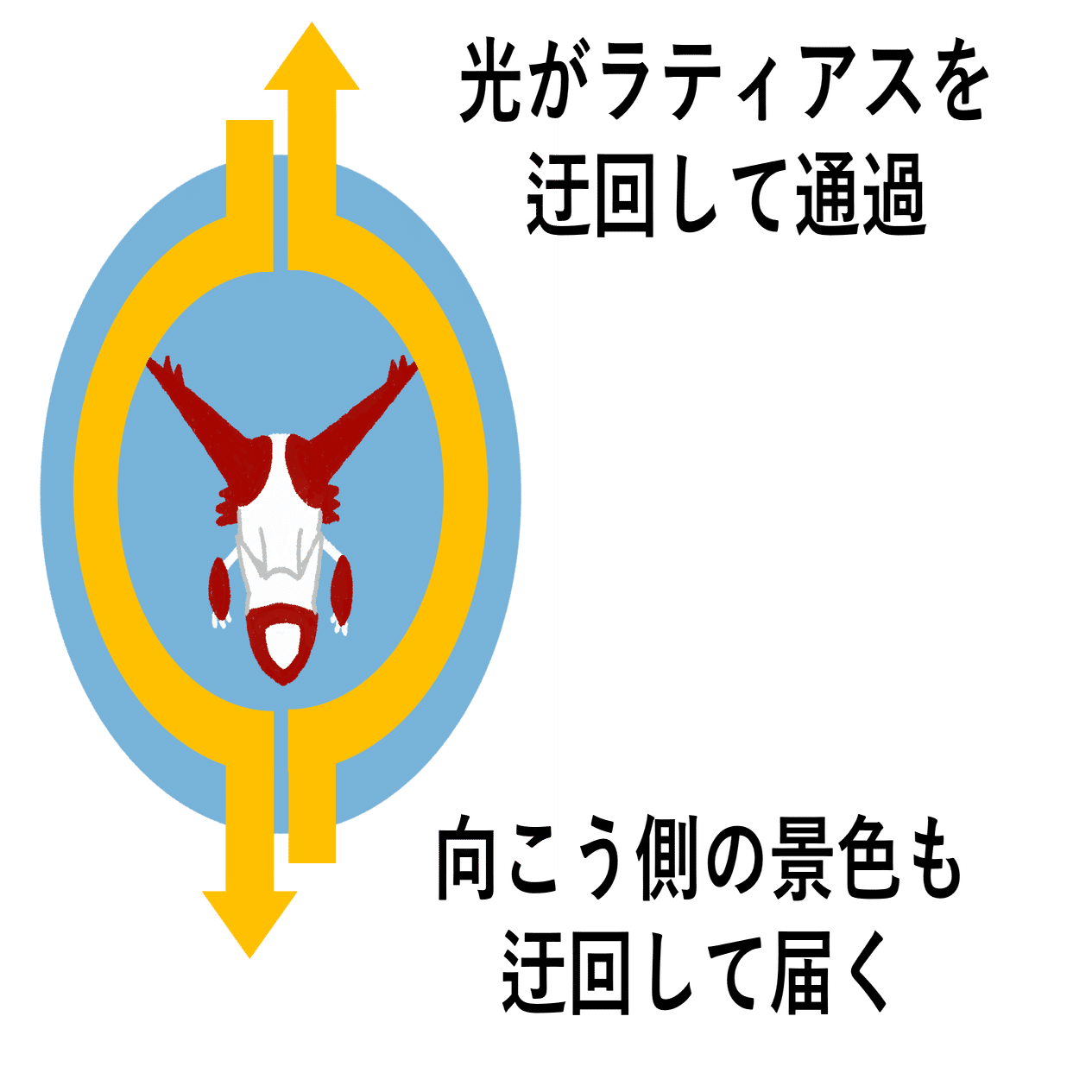 File.06 ラティアスの透明マント｜螺屋なぎ