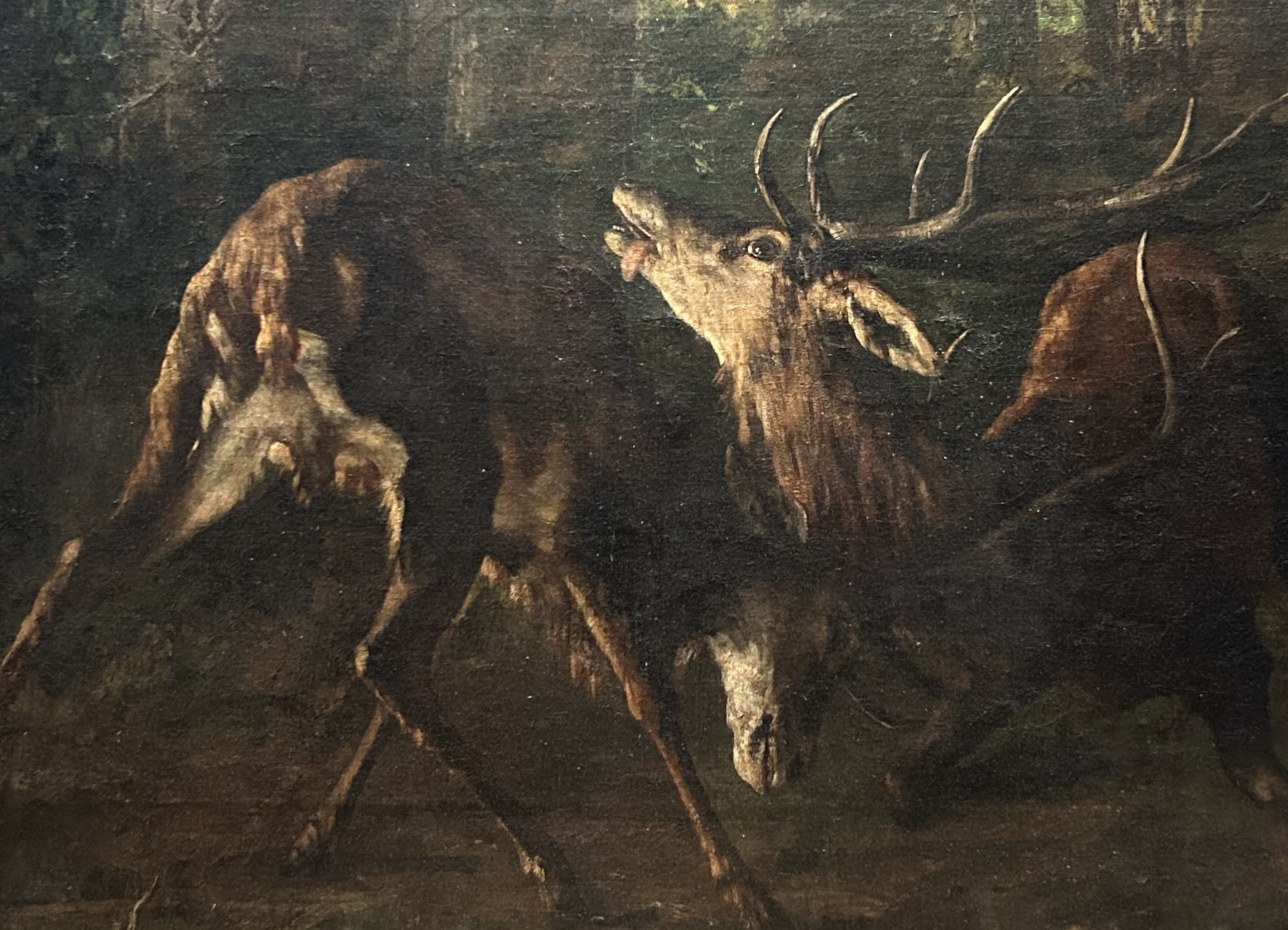 子供のためのオルセー美術館(218)黒の森で見たものは？/クールベ