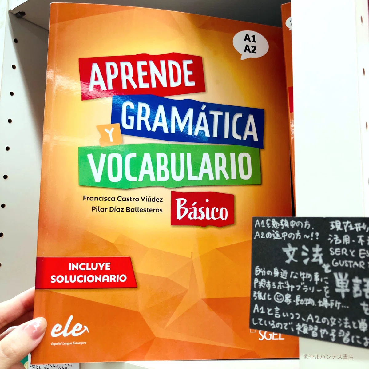 自学やDELE対策に！】1冊でスペイン語文法と単語のどちらも勉強できる 