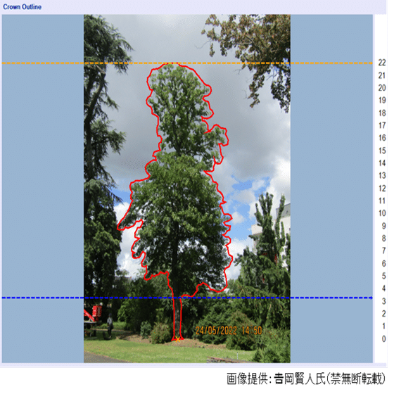 樹木のリスクマネジメント：最近注目の引張り試験（Pulling Test）とは