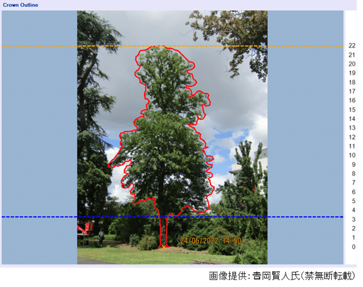 樹木のリスクマネジメント：最近注目の引張り試験（Pulling Test）とは