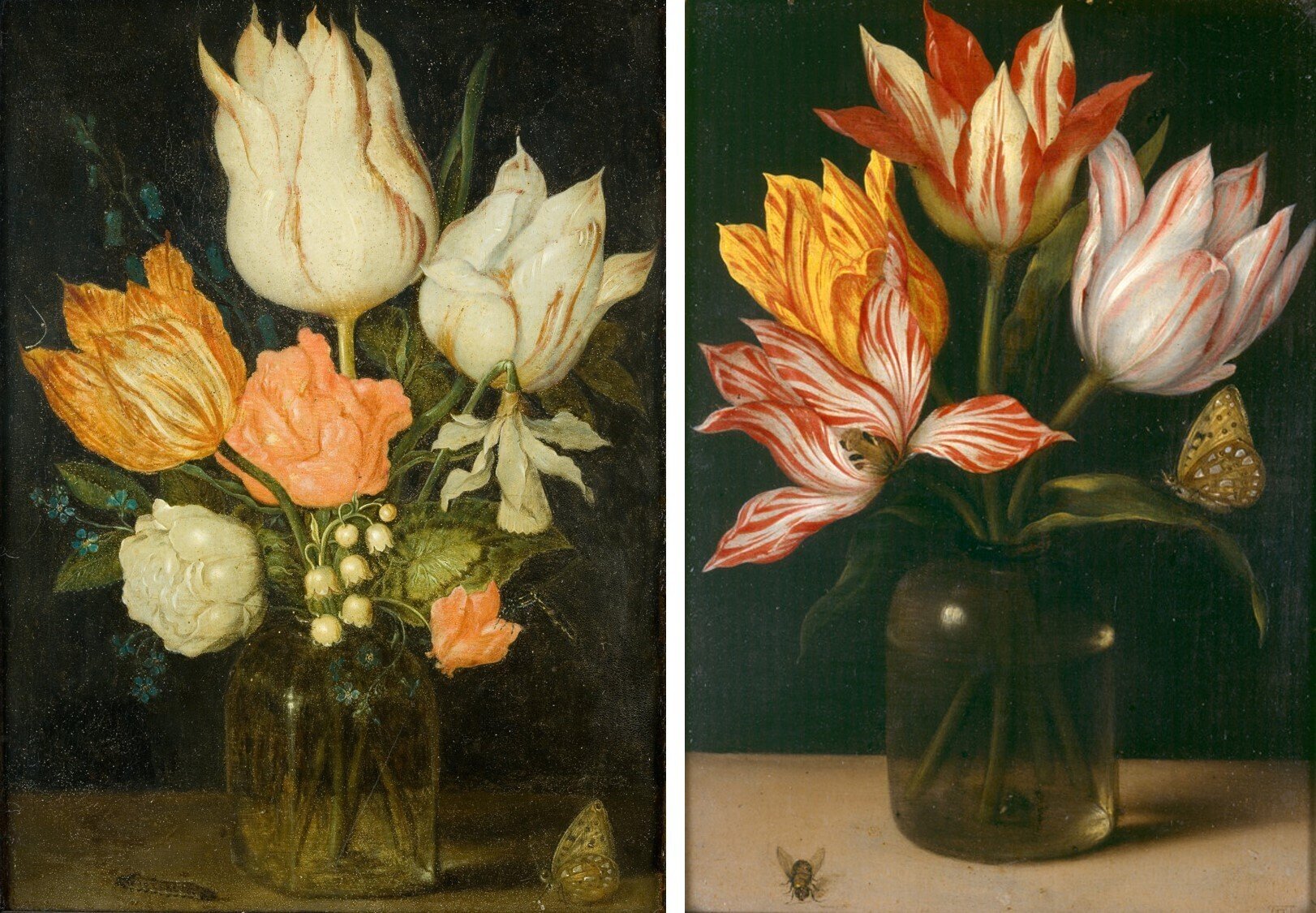 植物画とは何か＞（3）：博物画とは?美術か？ 西洋絵画、東洋絵画の