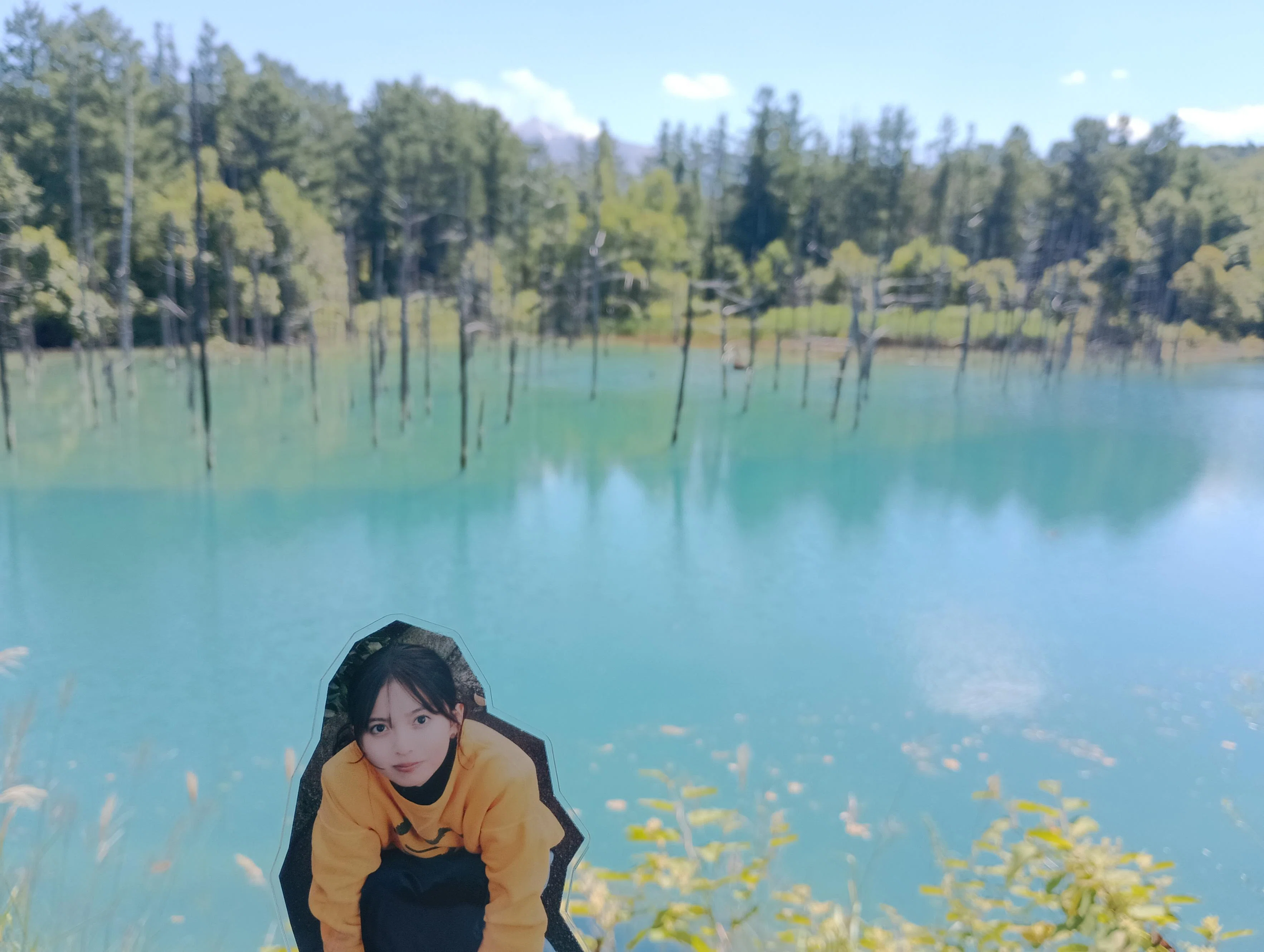 さいとうあすかめぐり in 北海道｜あさひ