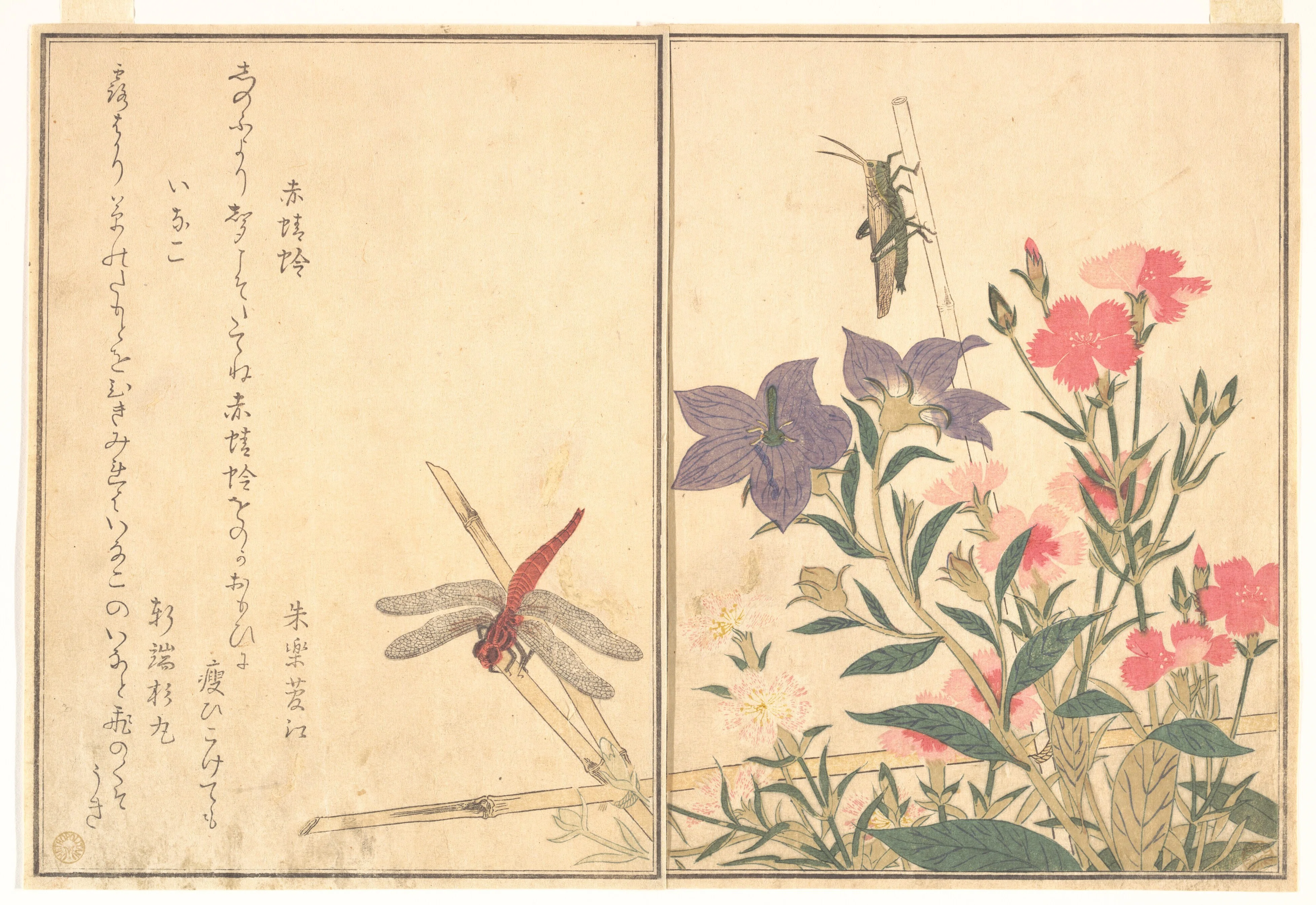 植物画とは何か＞（3）：博物画とは?美術か？ 西洋絵画、東洋絵画の