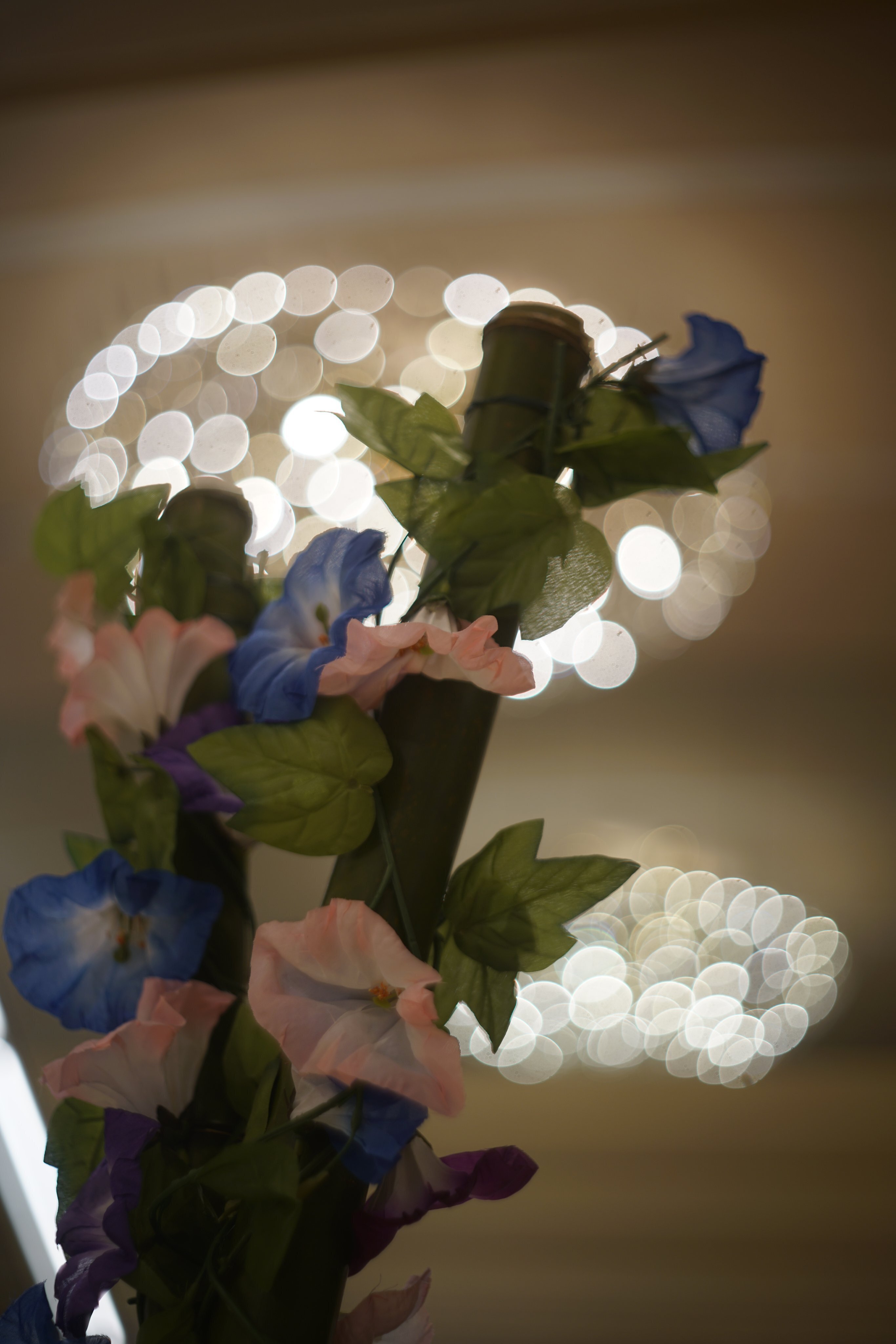 Meyer Optik Gorlitz Oreston 50mm F1.8｜もとぴー