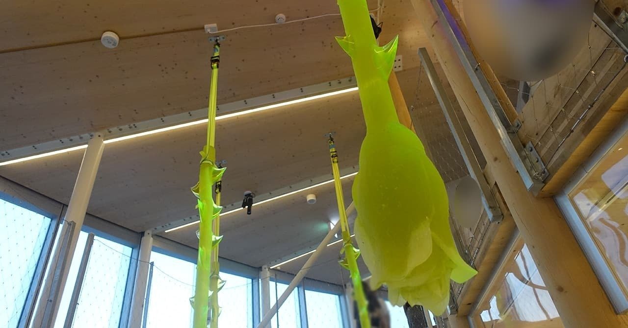 大阪・関西万博のチェコパビリオンをレビュー｜お得情報研究家まめ