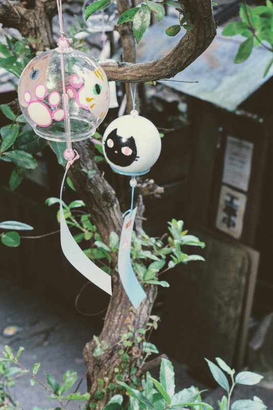 フォトギャラリーの写真