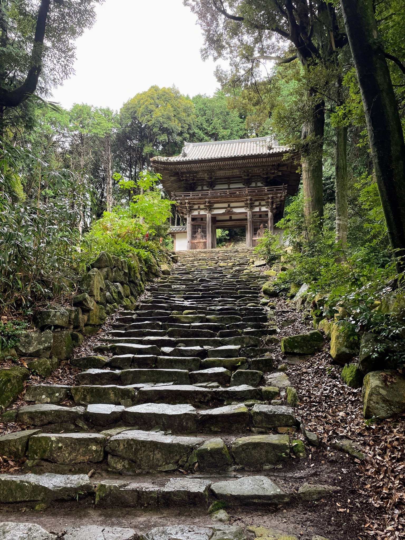展覧会レポート】紫香楽と信楽 宮の造営と焼き物の歴史 ／滋賀県立安土