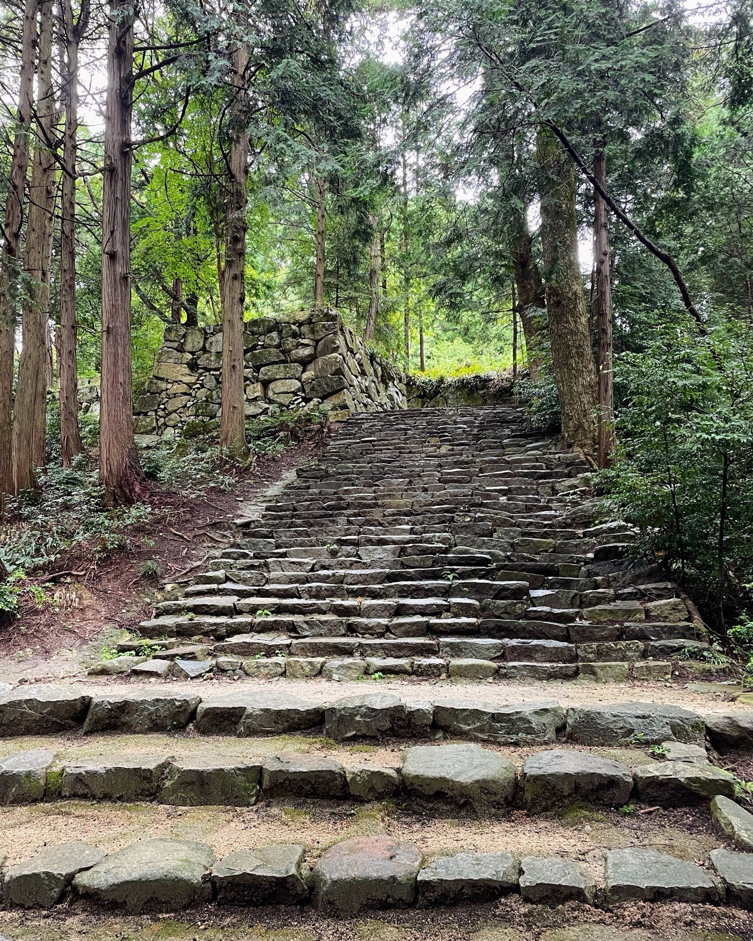展覧会レポート】紫香楽と信楽 宮の造営と焼き物の歴史 ／滋賀県立安土