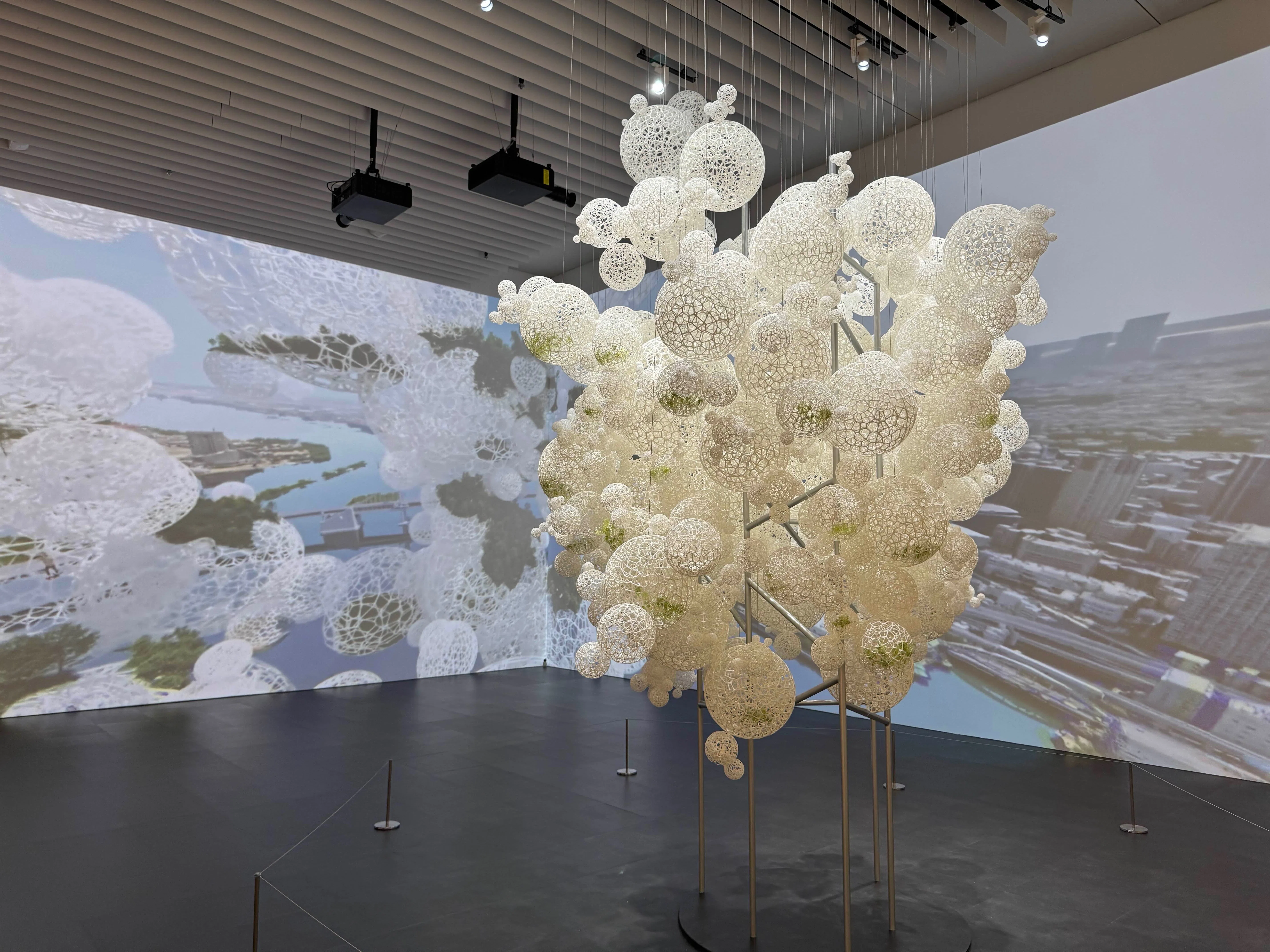 美術展2025#79】藤本壮介の建築 原初・未来・森＠森美術館｜mata