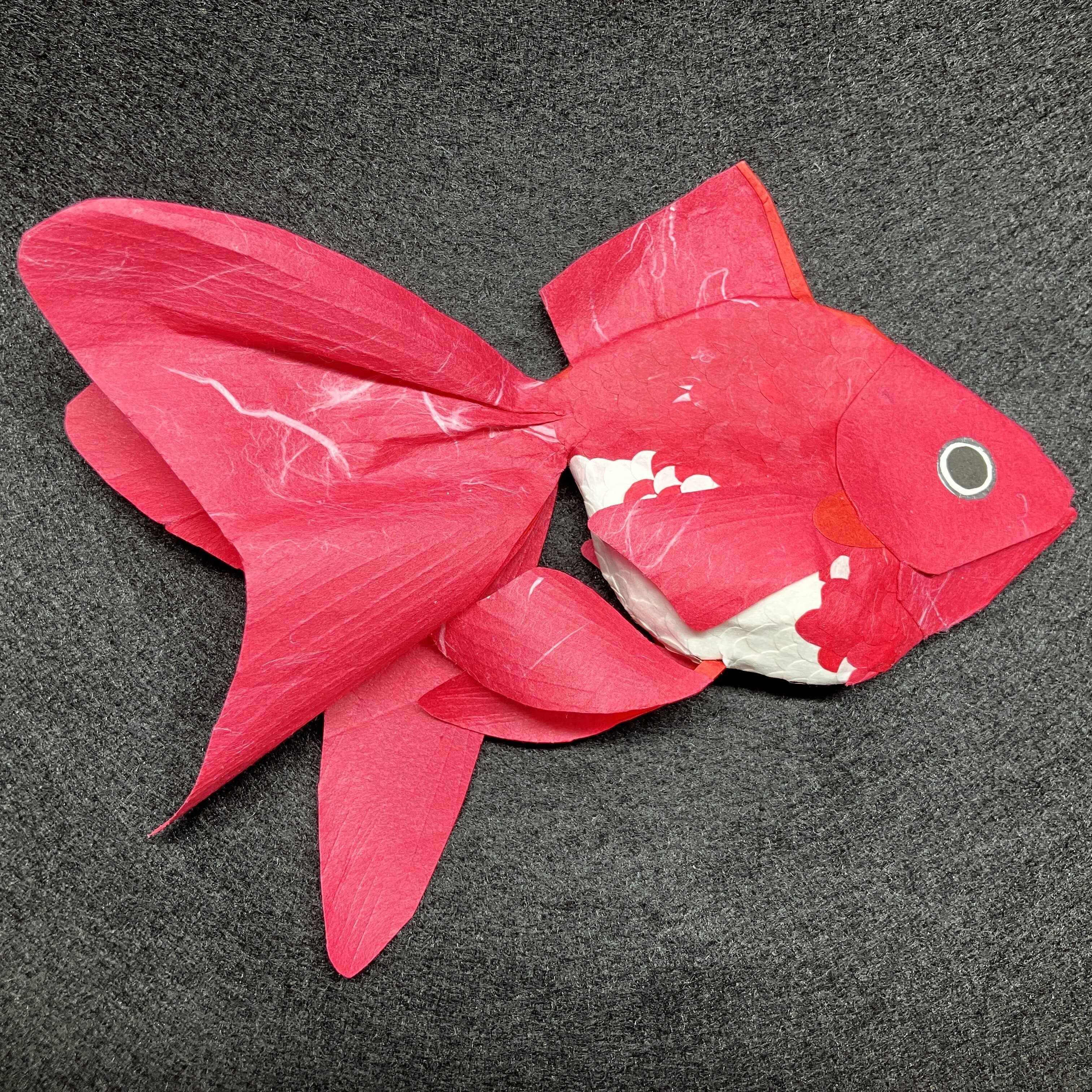 紙工作 11作目 金魚｜えだまめm
