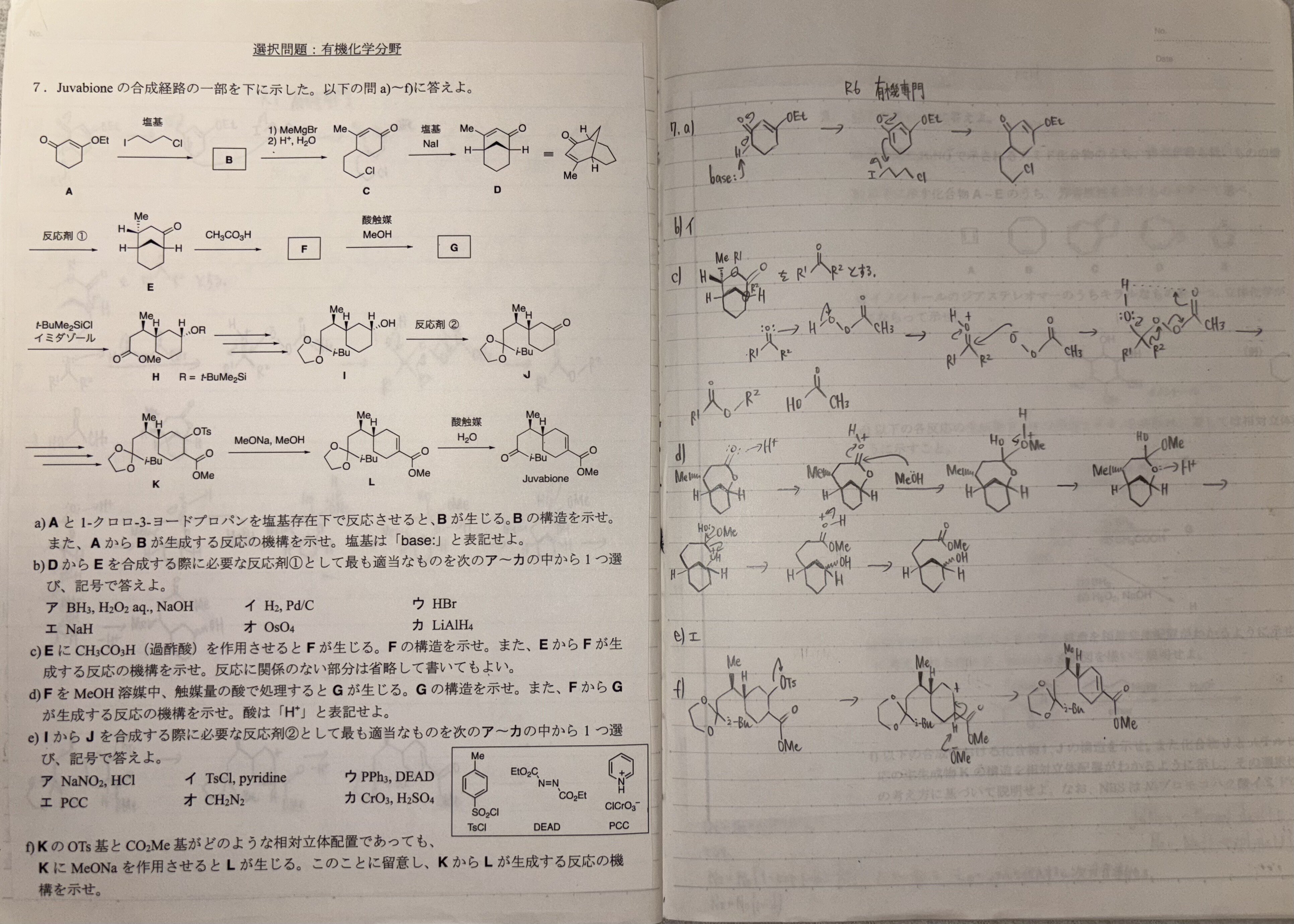 科学大院試】東京科学大学 理学院化学系B日程（2026年度入学）合格体験