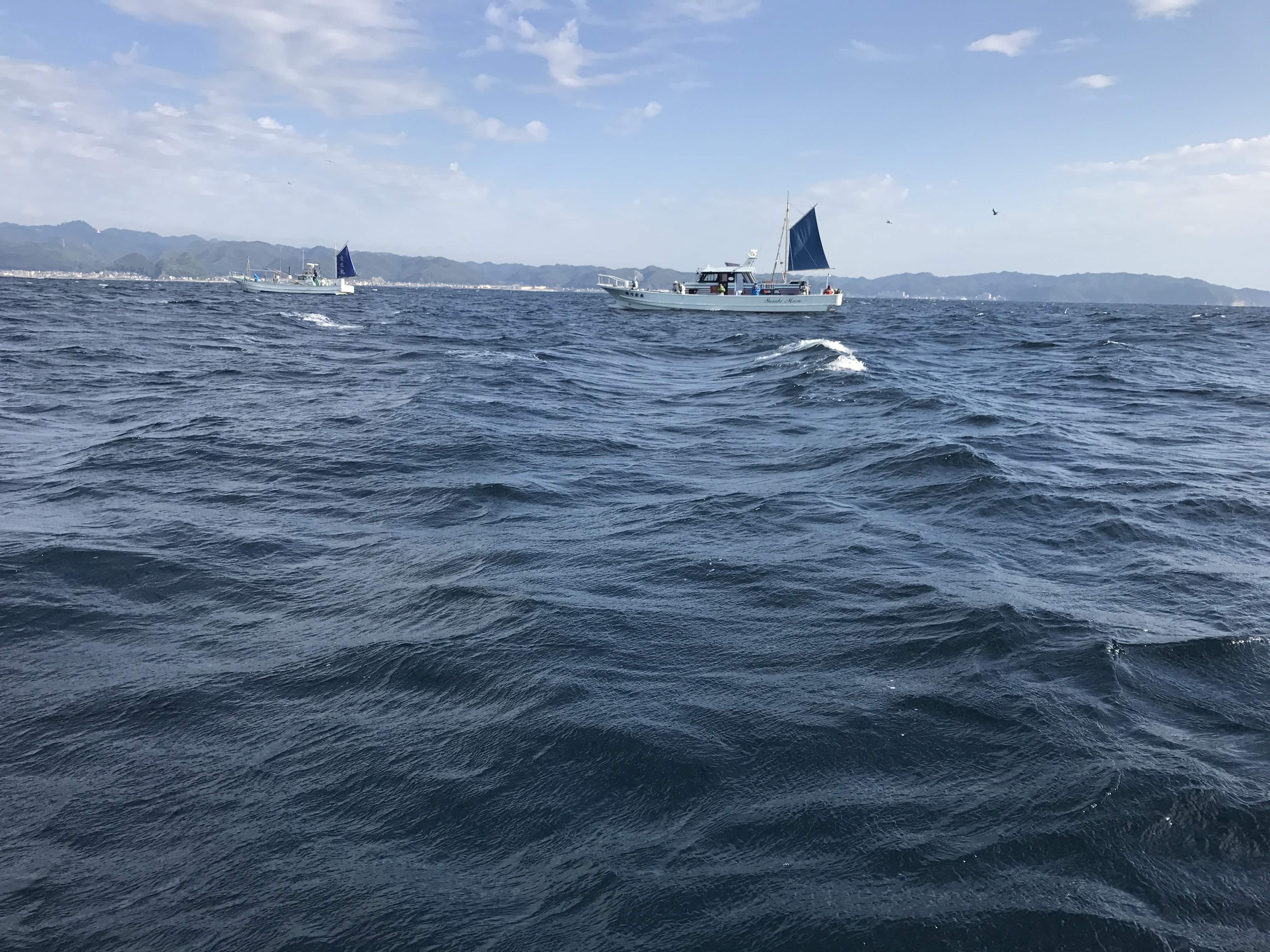 惰話】桟橋の高さは変わる、空気の力で｜no-one